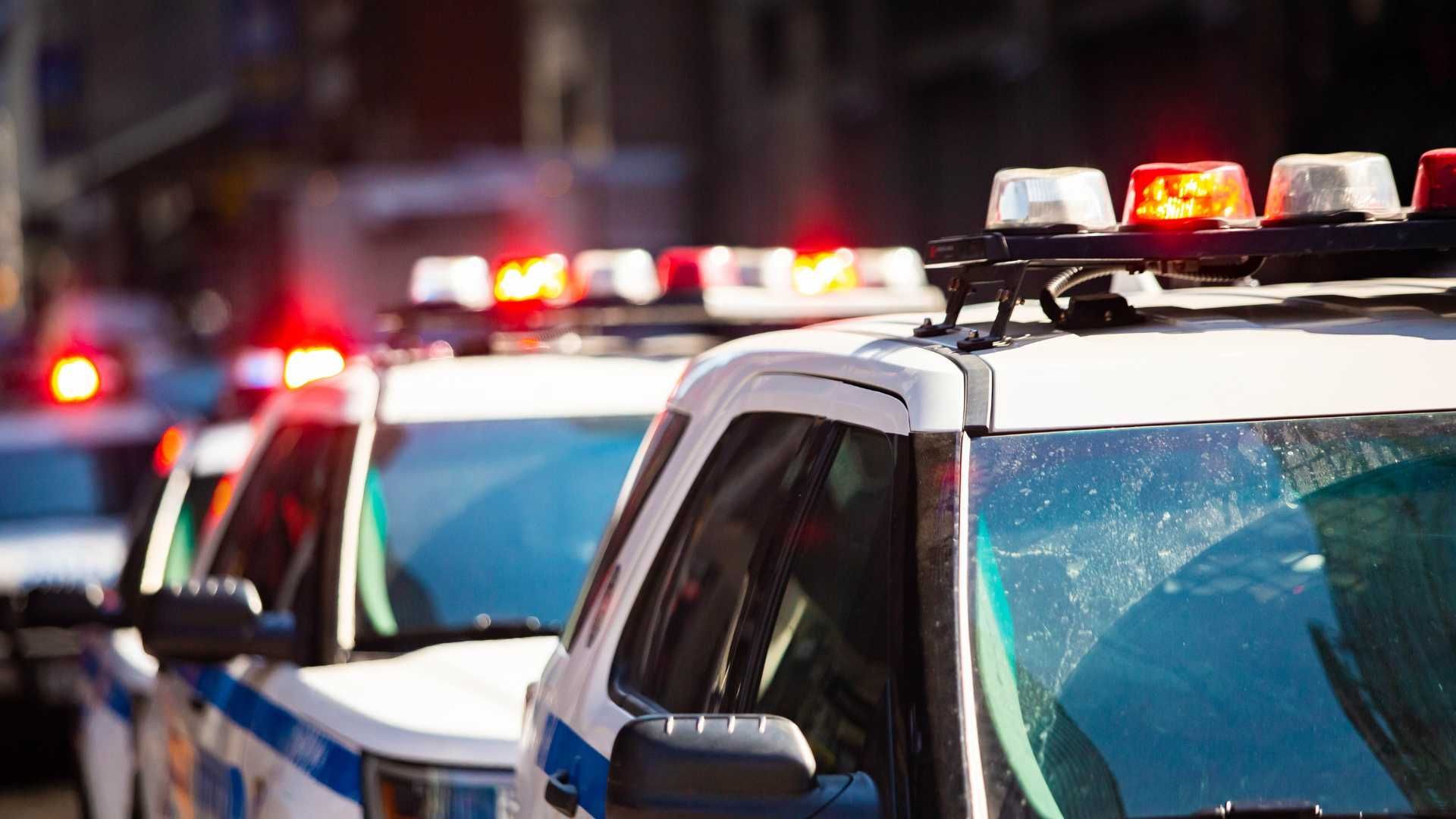 A row of police cars are parked next to each other on a city street.