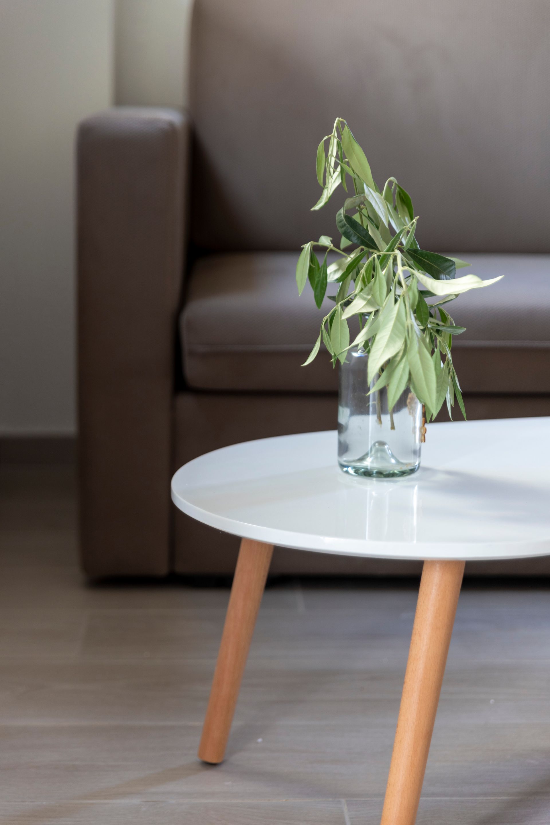 A coffee table with a plant in a vase on it in front of a couch.