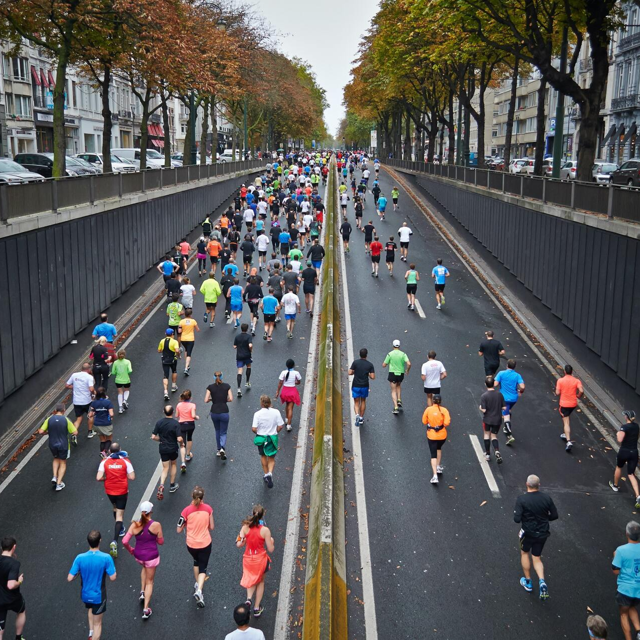 fundraising consulting companies to create a clear plan