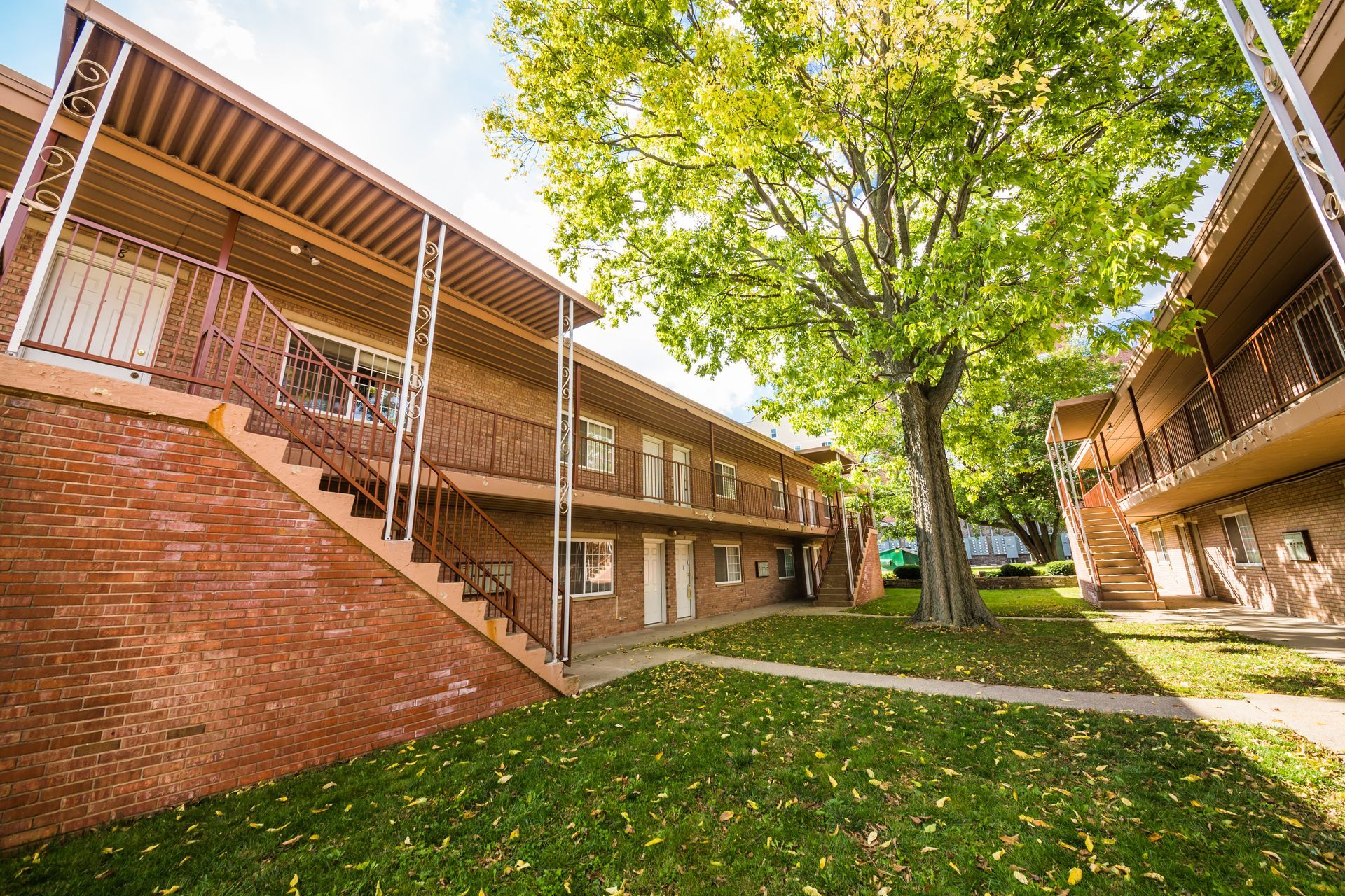 Photo showing a building and stairs in the foreground with a tree in the middleground