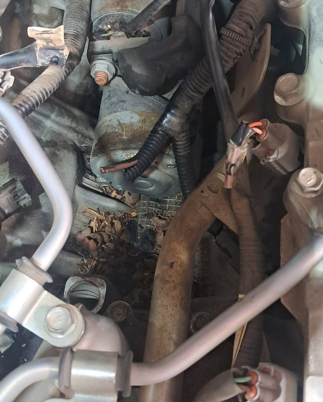 Close-up of an engine compartment with hoses, wiring, and rusted metal parts.