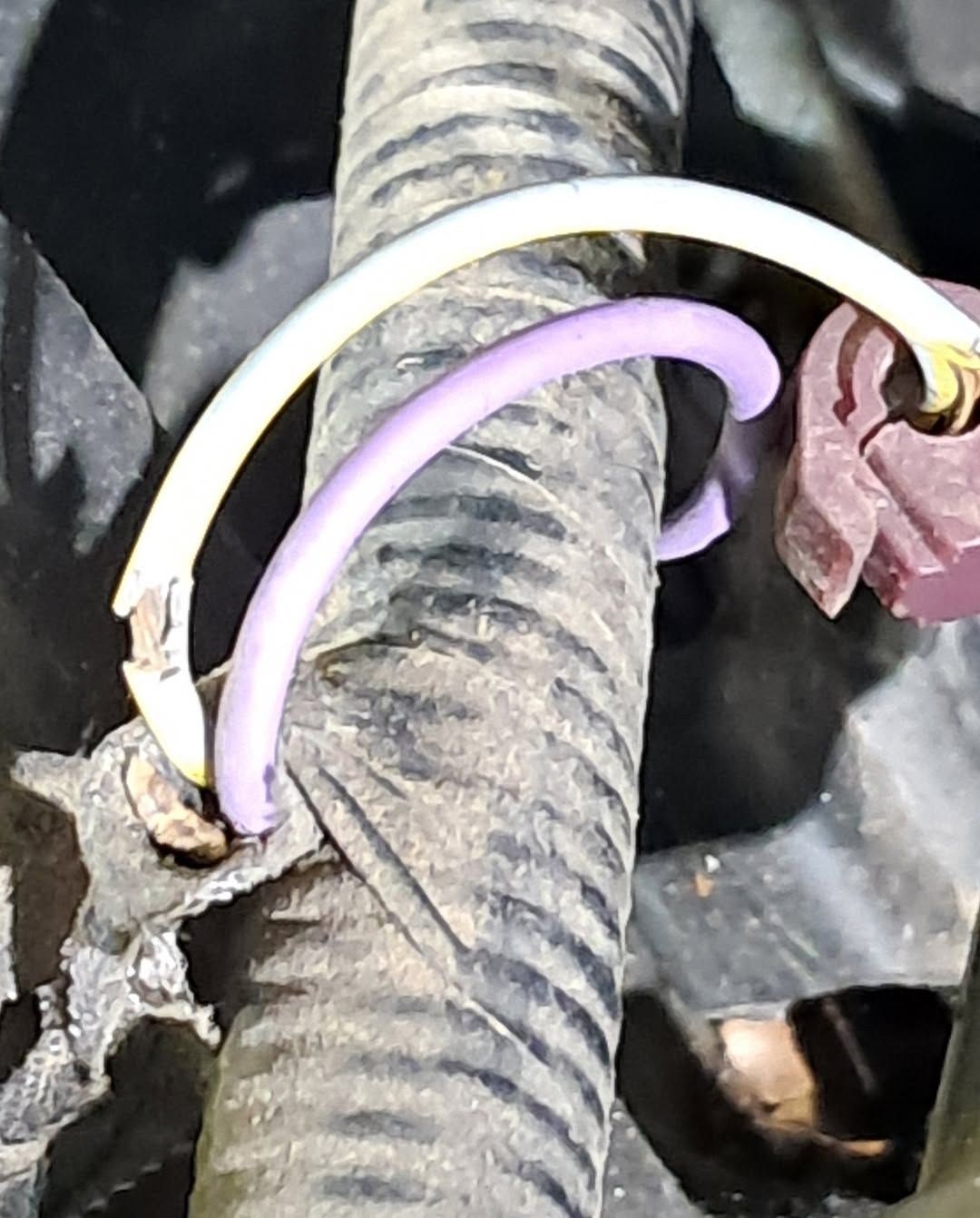 Close-up of purple and white wires attached to a dirty black corrugated hose with a rusted clip