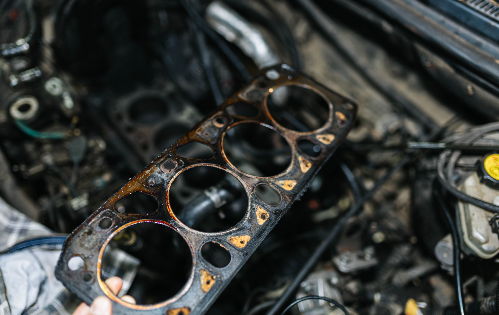 Burnt engine head gasket with four cylinder openings on a cluttered workbench