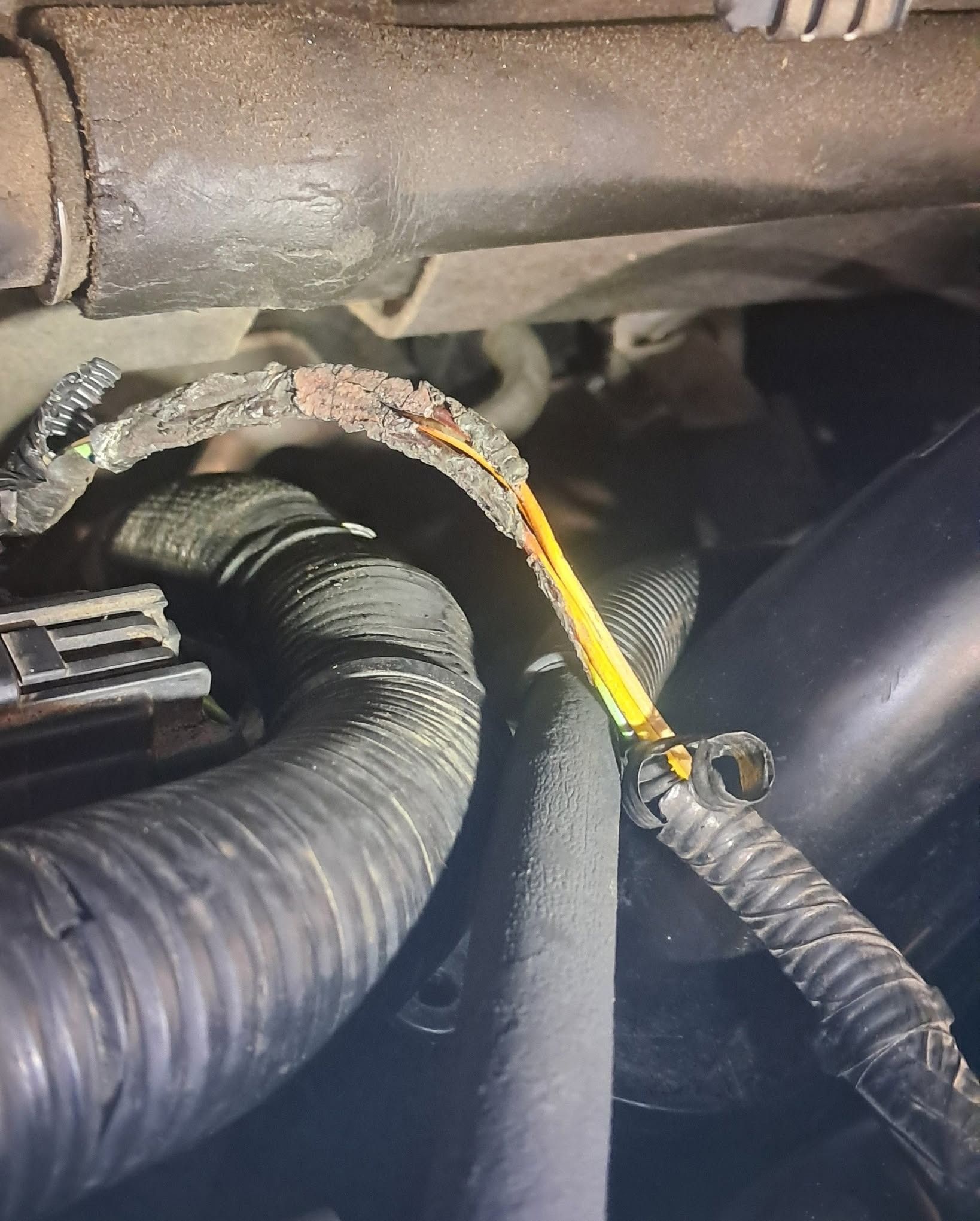 Close-up of a frayed yellow wire in an engine compartment, wrapped in black corrugated tubing.