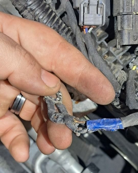 Hand holding a frayed wiring harness with a blue-taped wire inside an engine bay.