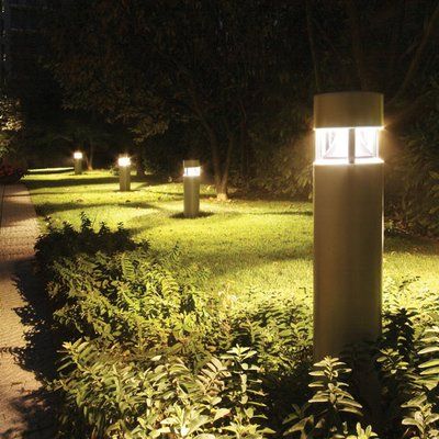 A row of lights are lit up in a park at night