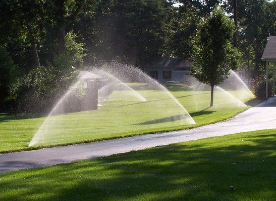 A row of sprinklers spraying water on a lush green lawn.