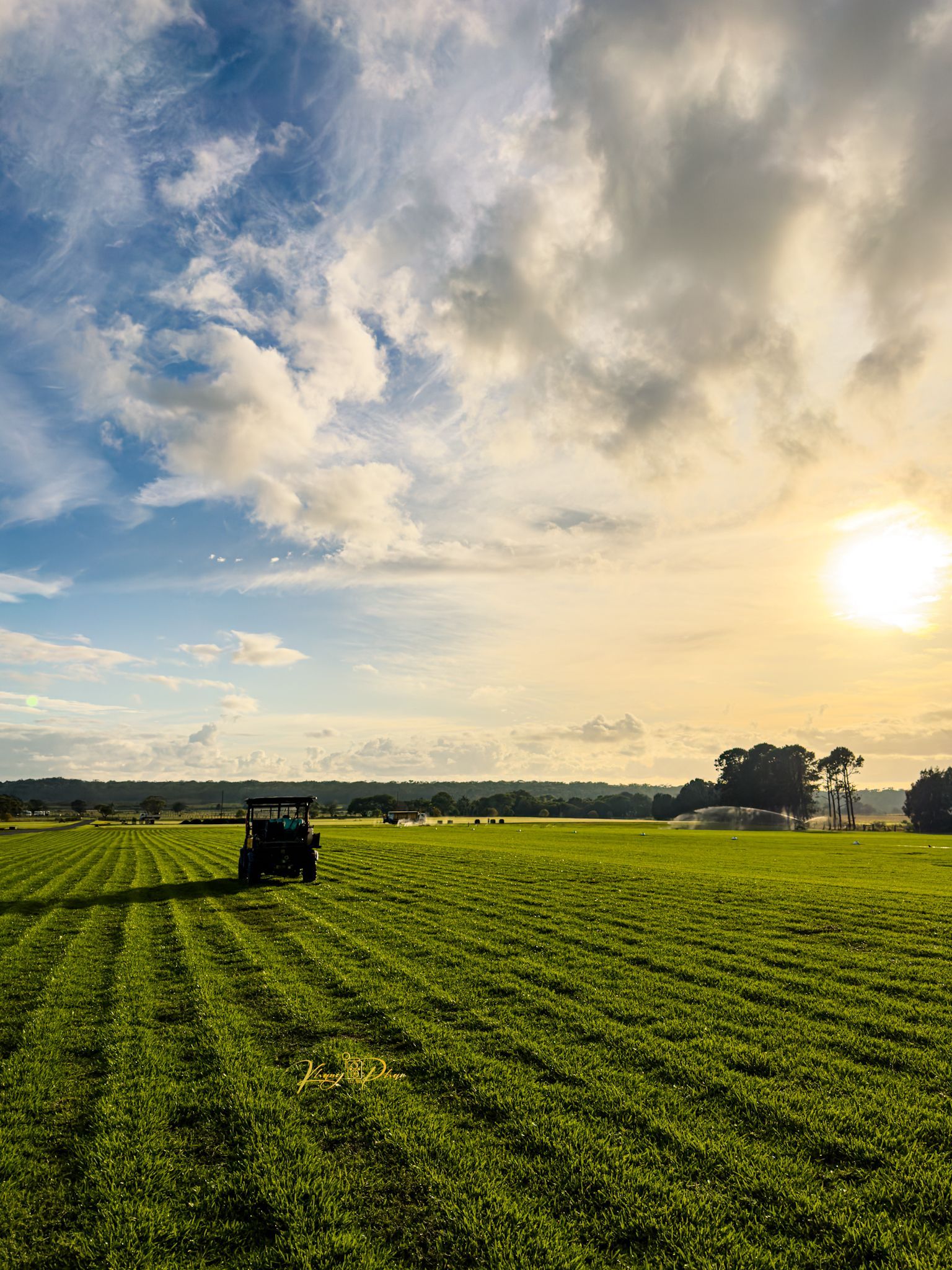 Turf & Lawn Supplies Wollongong Firewood In NSW Ryans Turf