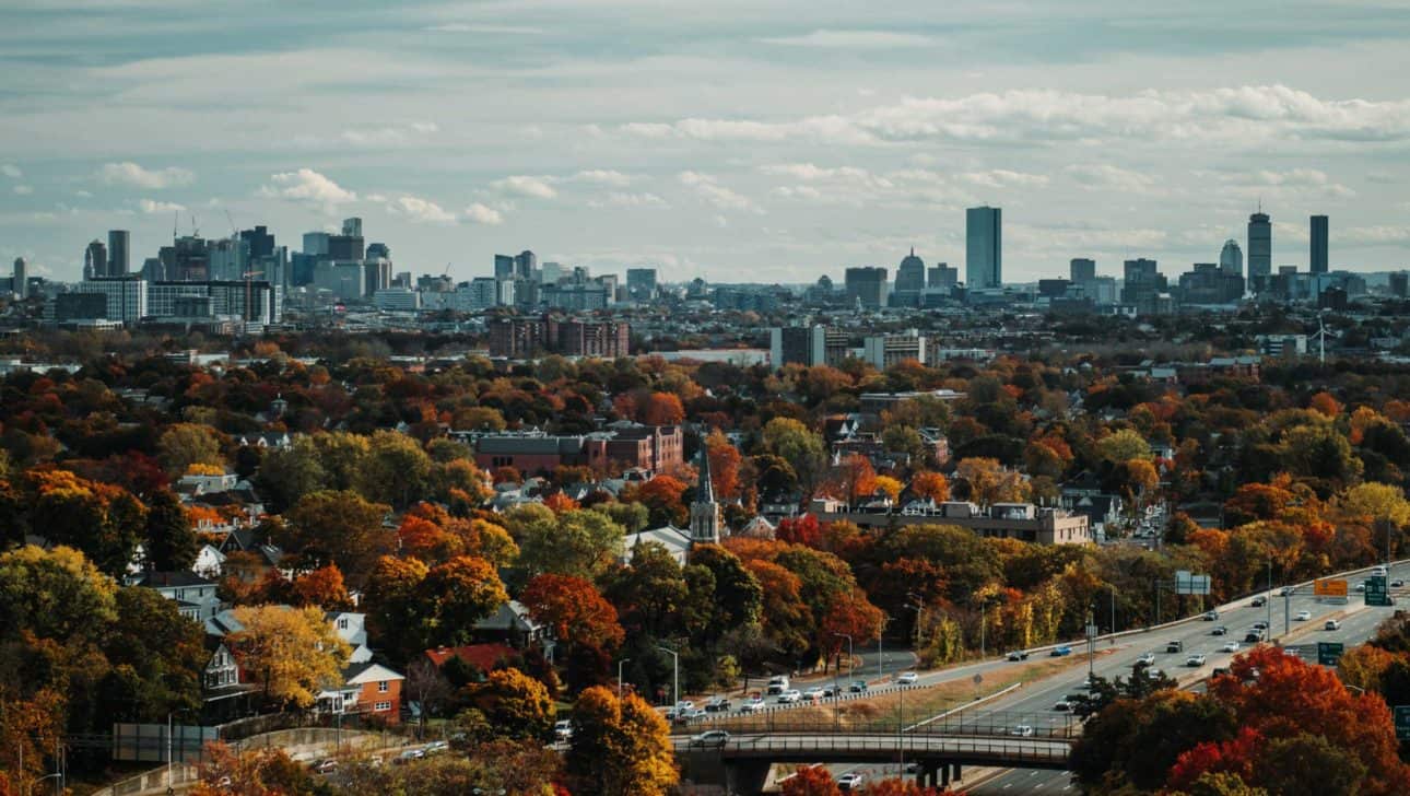 An aerial view of a city skyline with trees in the foreground and a bridge in the background.