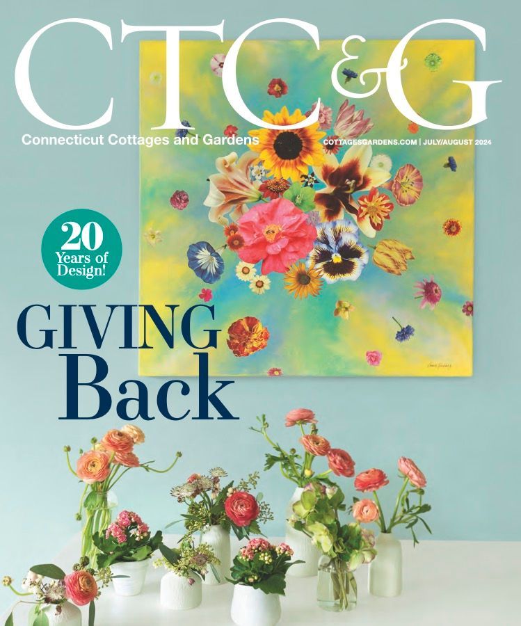 Cover of 