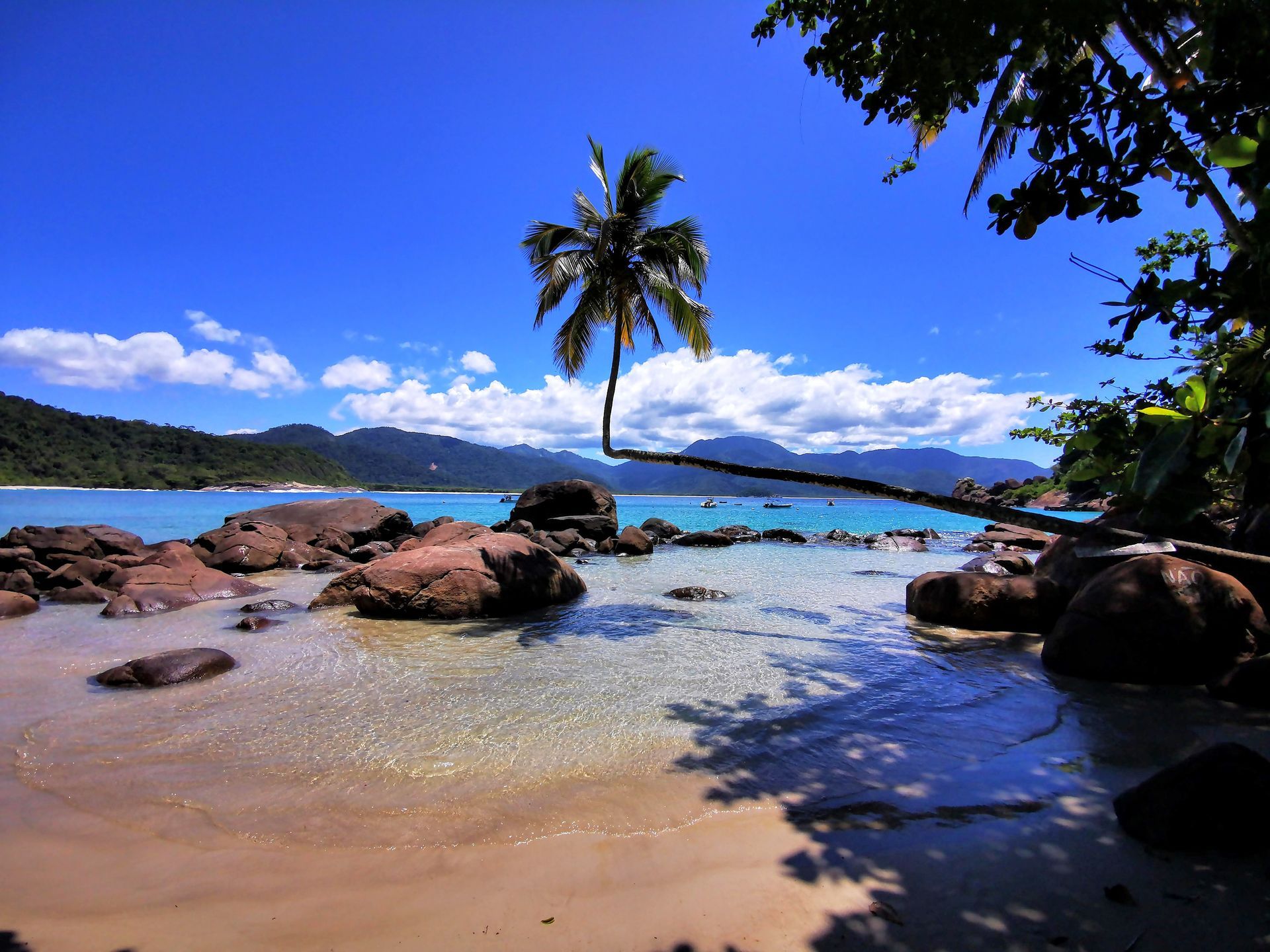 Coqueiro do Aventureio - Praia do Aventureiro na Ilha Grande - Passeio de Volta a Ilha