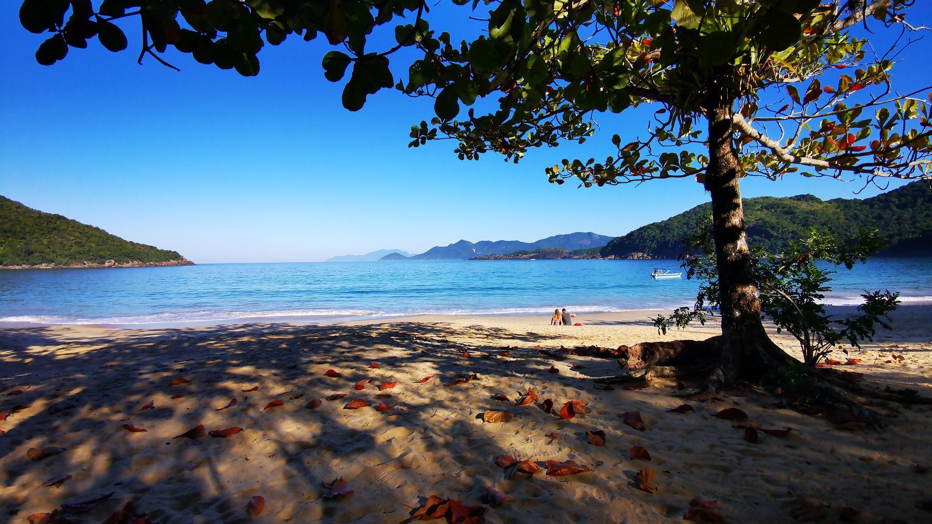 Calm day at Parnaioca Beach, Ilha Grande