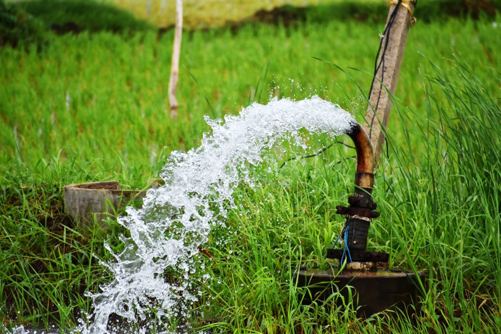 Water is Being Pumped From a Pipe Into a Field — Sweeney's Pumps & Irrigation In Stroud, NSW