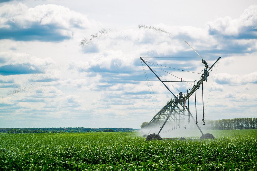 A Sprinkler is Spraying Water on a Green Field — Sweeney's Pumps & Irrigation In Maitland, NSW