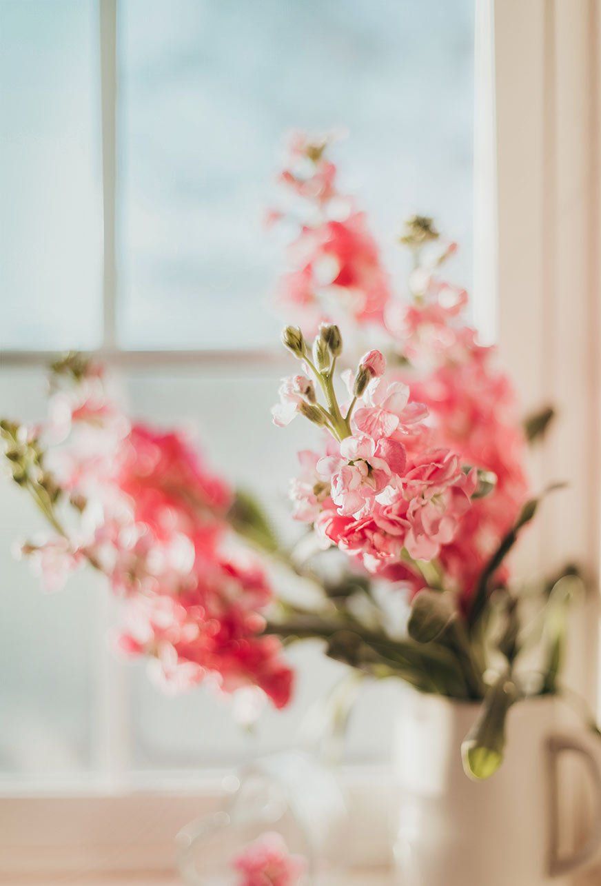 A vase filled with pink and white flowers is sitting in front of a window.