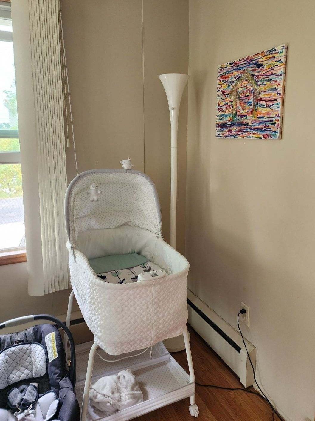 pregnancy shelter