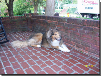 Best Quality Custom Brick Red Color — Fletcher, NC — Cane Creek Concrete