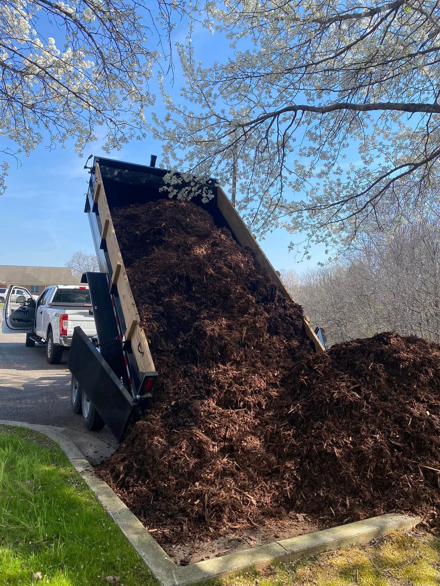 A white pickup truck with a raised dump trailer unloading a large pile of brown mulch under a blooming tree.