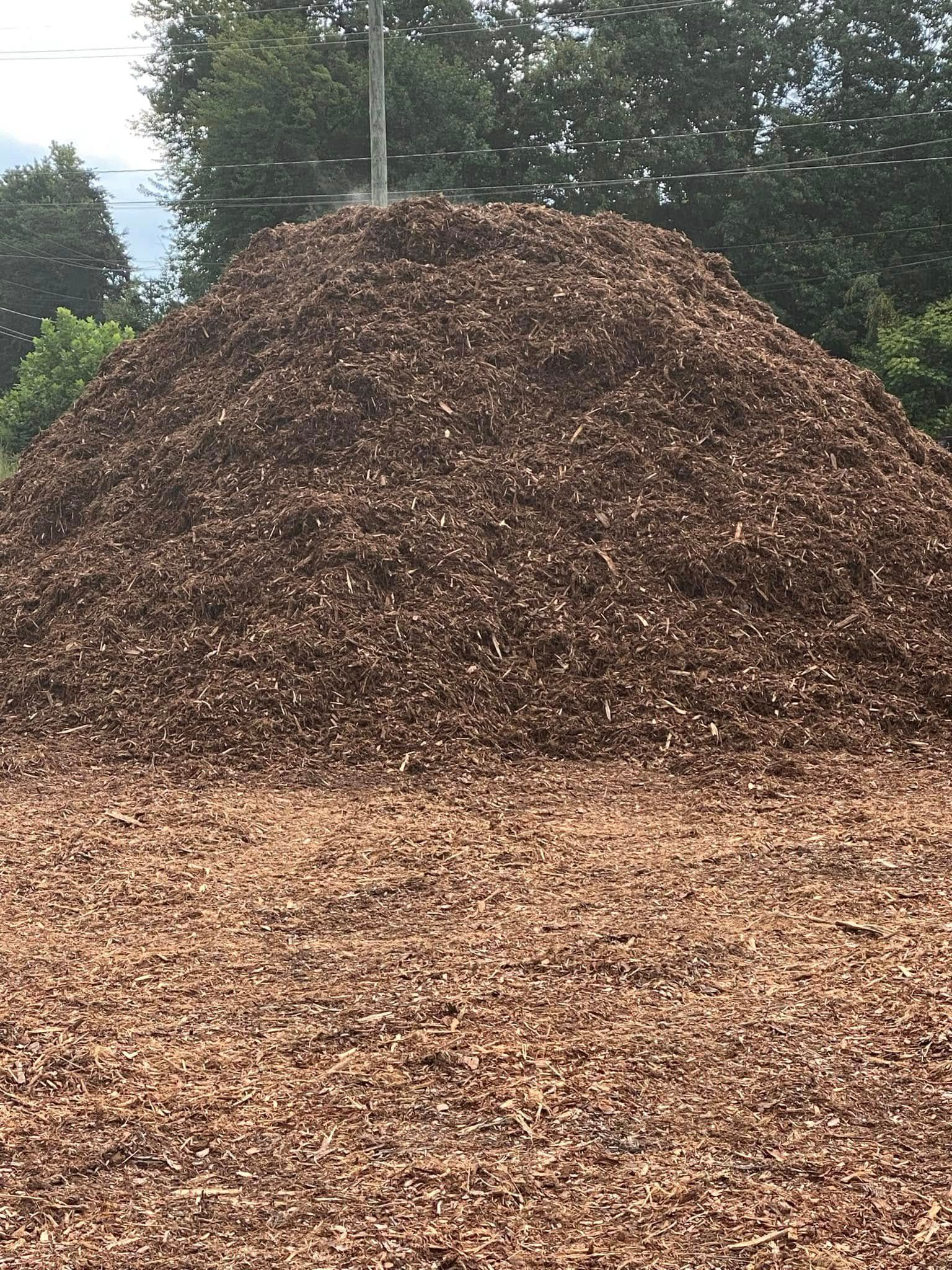 A large, conical pile of brown wood chips or mulch sits in an outdoor area surrounded by trees.