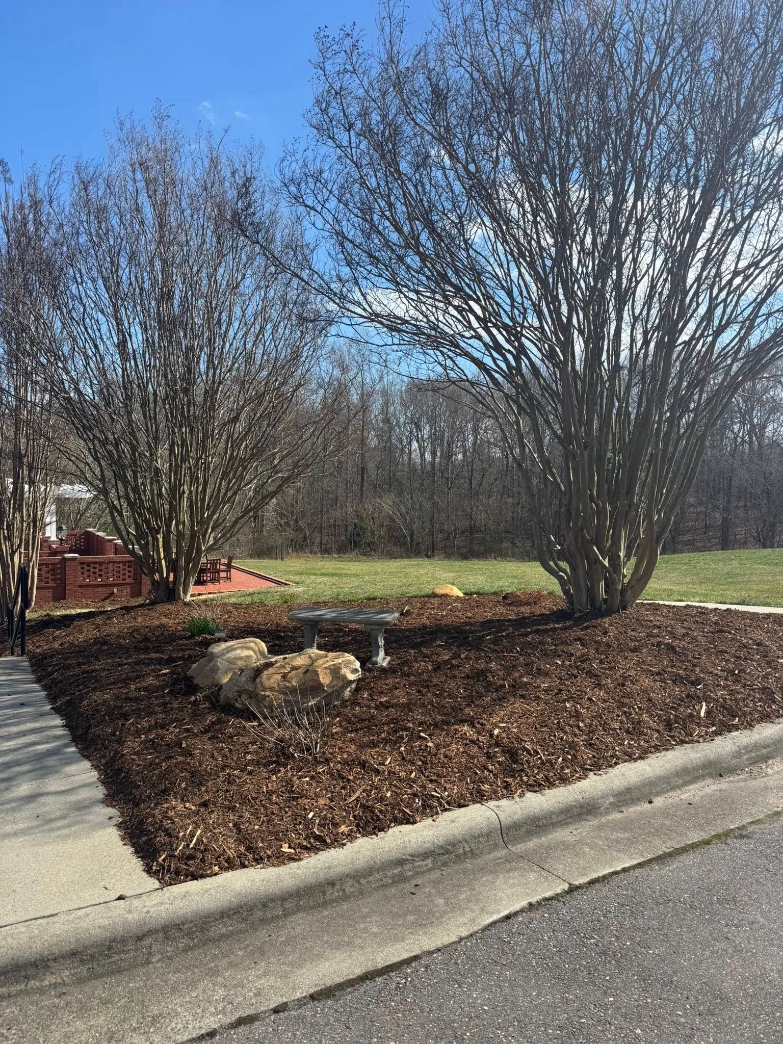 Two bare trees stand in a mulched island with large rocks and a birdbath, next to a sidewalk and a paved street.