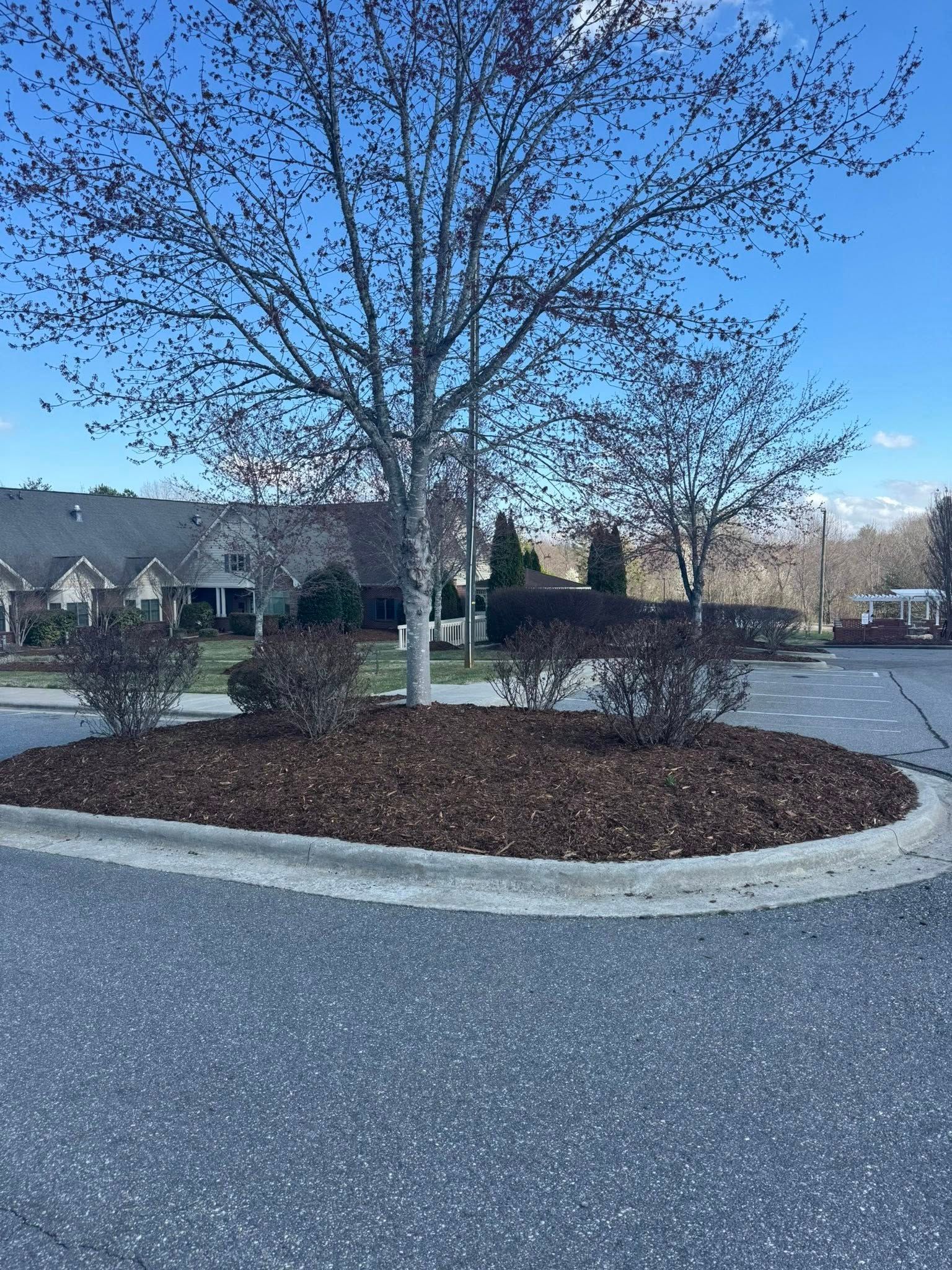 A small, oval landscaped island with dark mulch and sparse, bare bushes sits in the center of an asphalt parking lot.