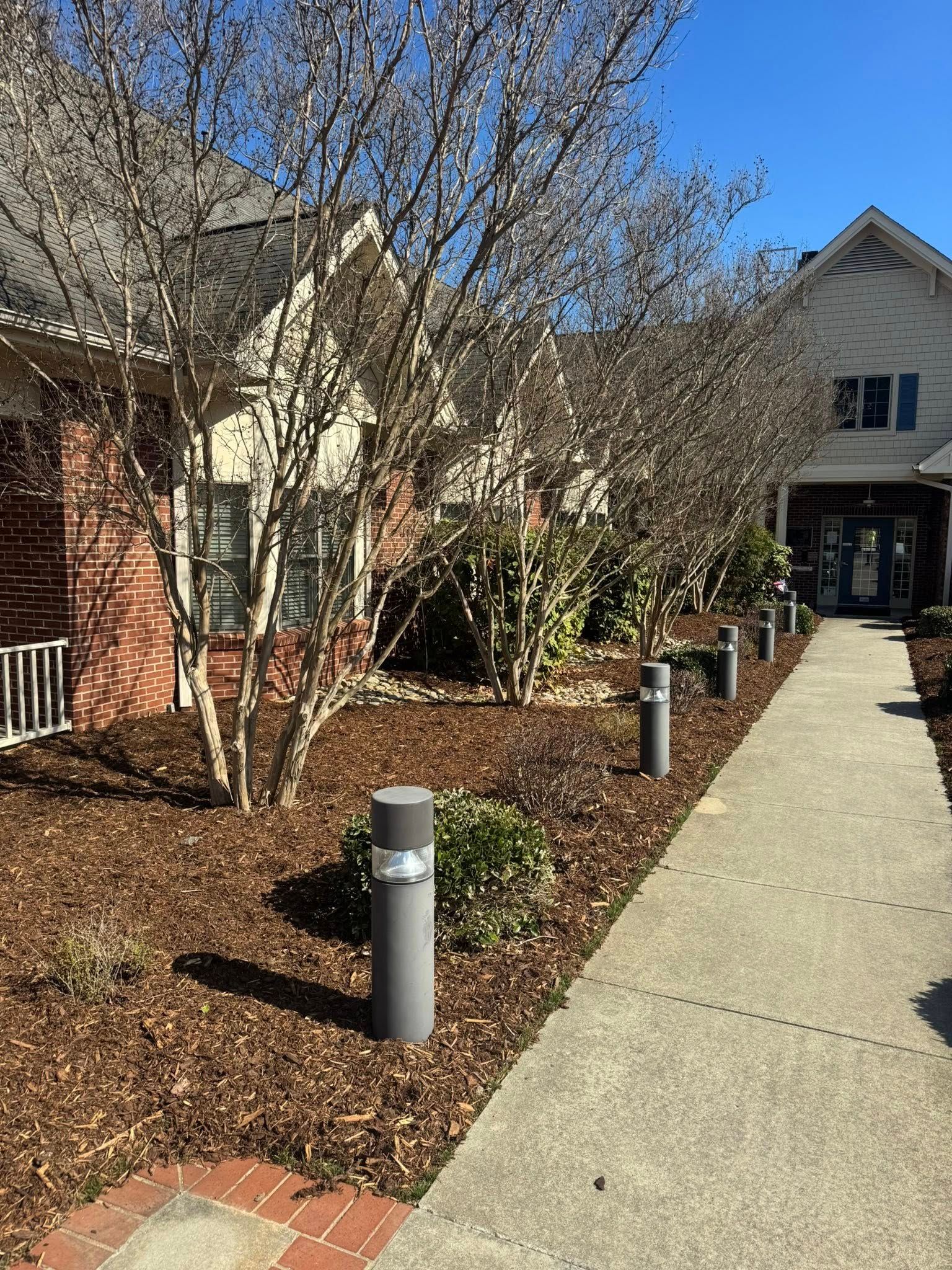 Concrete walkway leading to a building entrance, bordered by trees and mulch in a sunny outdoor setting.
