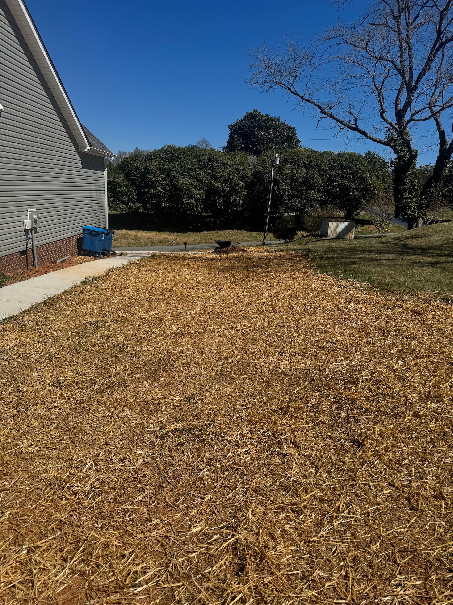 A thick layer of wood chips covers a yard beside the side of a house on a sunny day.
