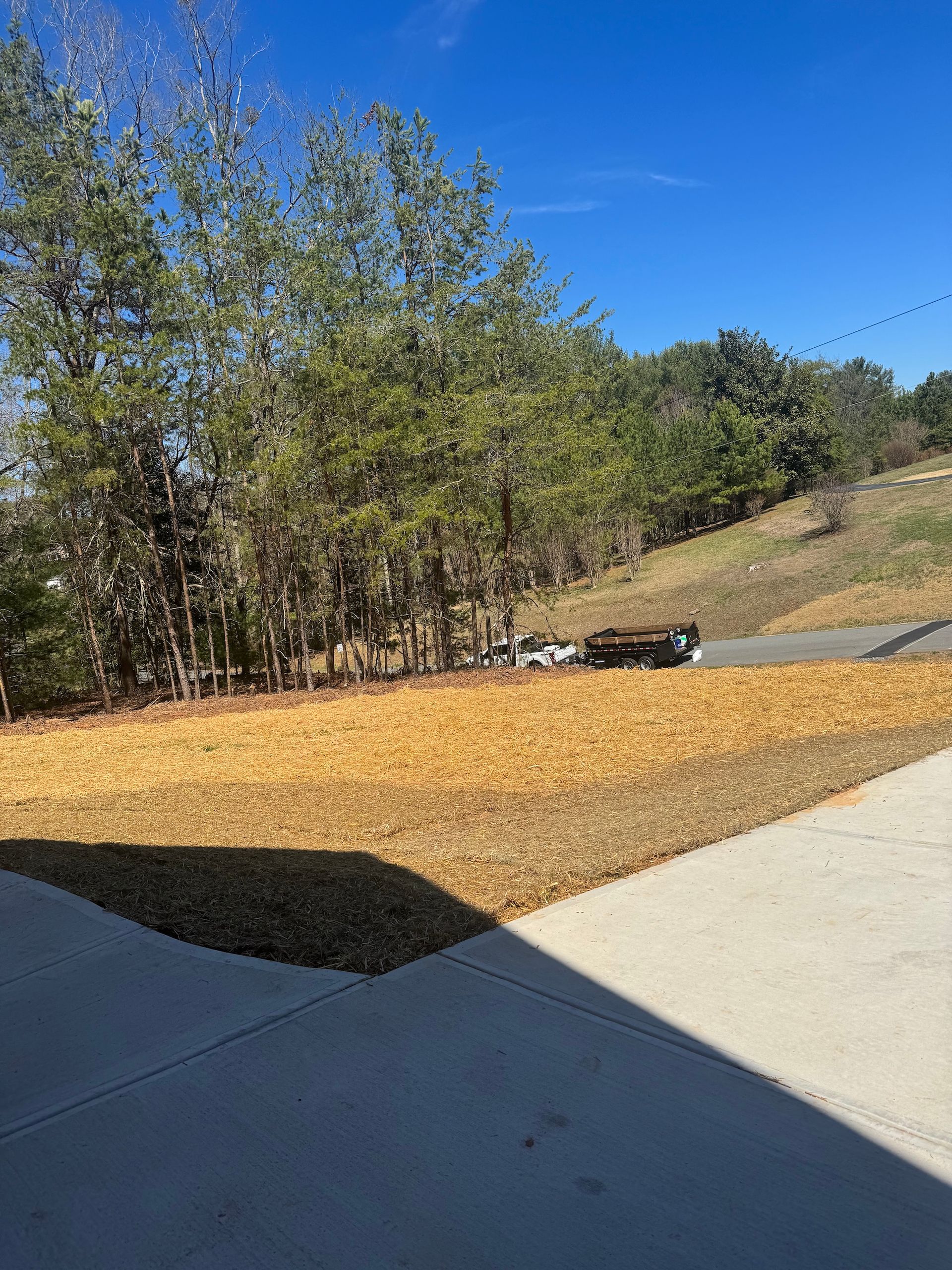 A large, golden-brown carpet of fallen autumn leaves covers a yard beside a concrete driveway, with trees in the background.
