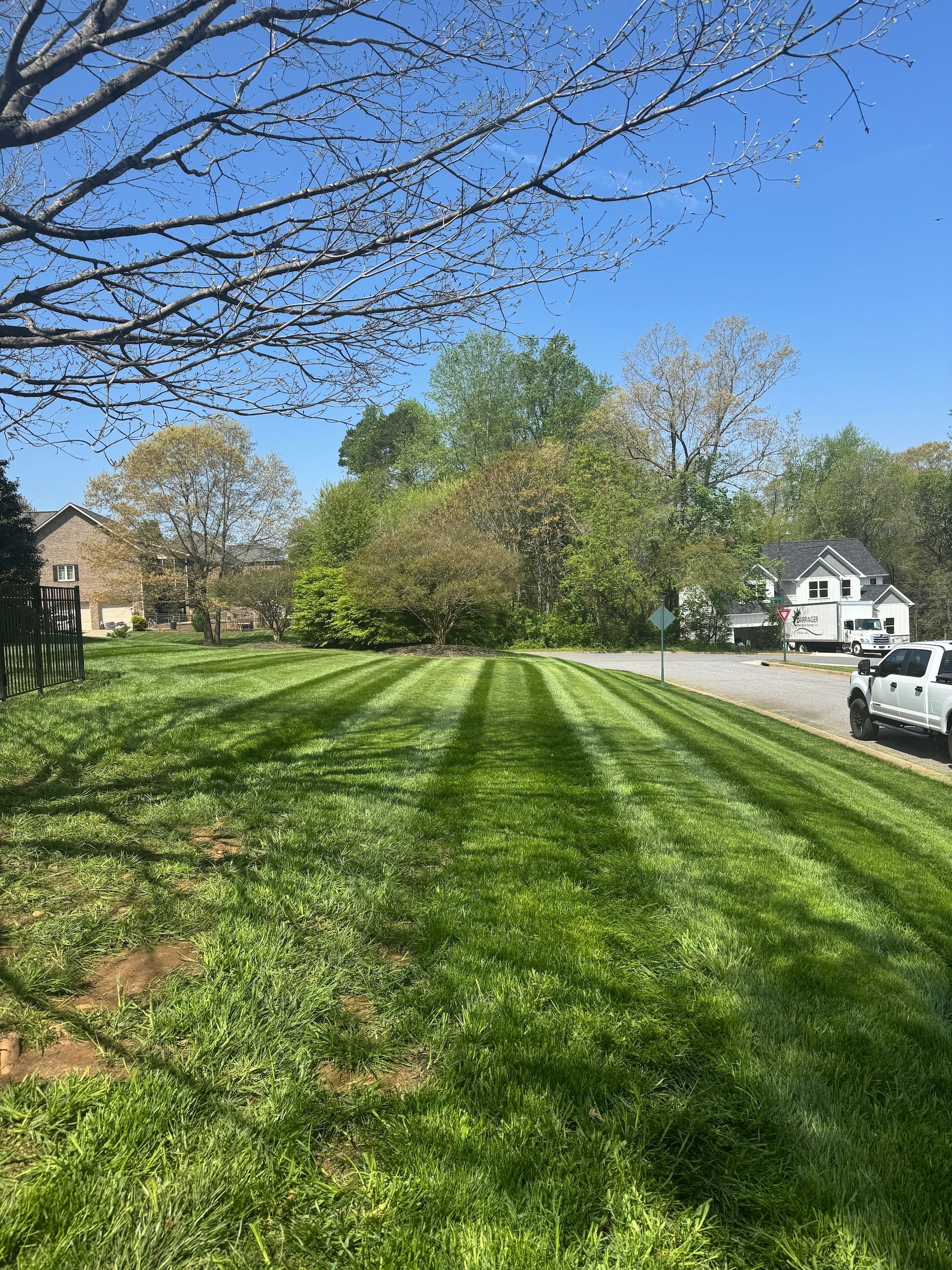 A lawn featuring fresh, vertical mowing stripes, with trees and a house in the background under a clear blue sky.