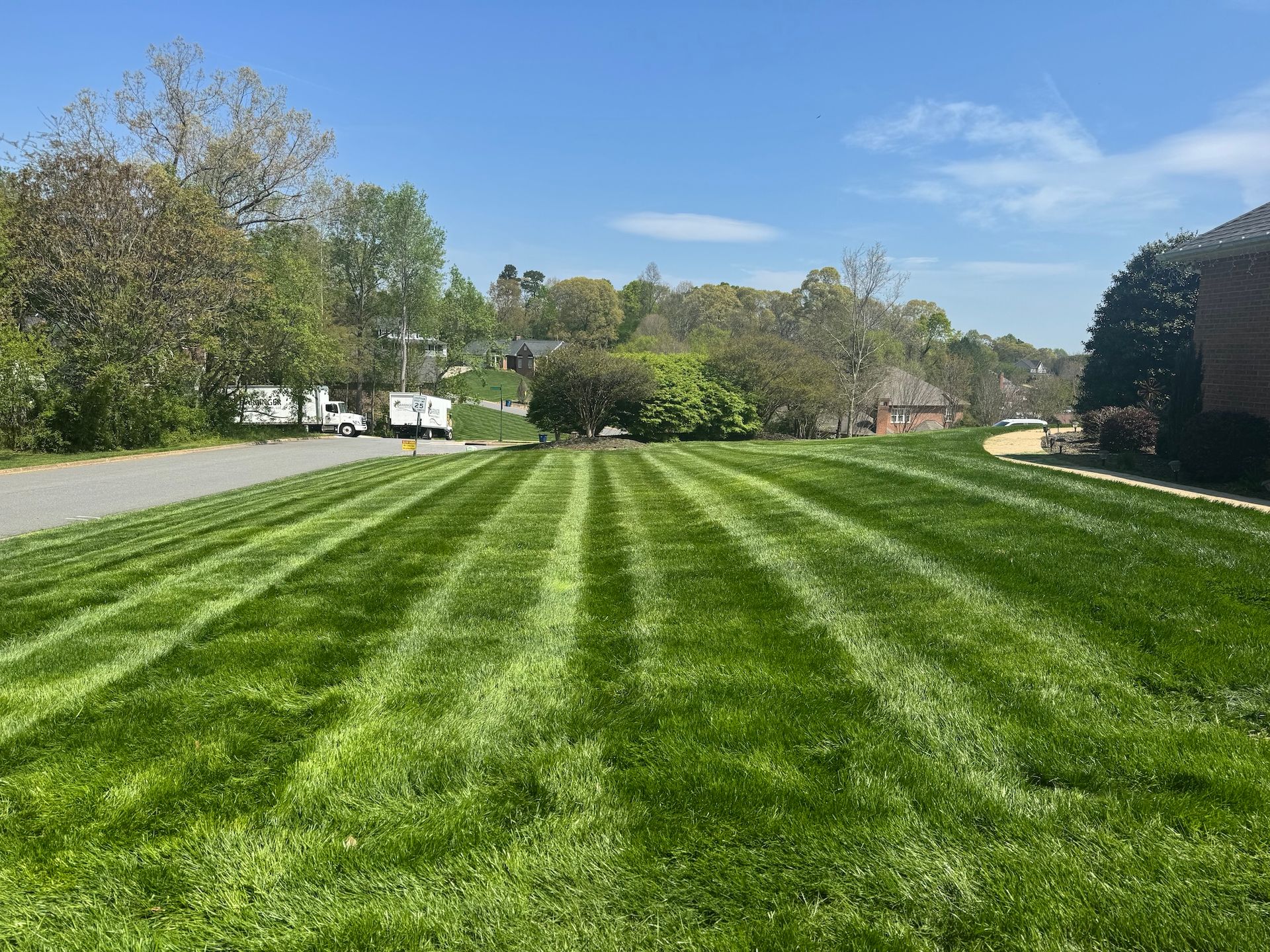 Freshly mowed green lawn with striped patterns beside a quiet road and trees under a clear blue sky