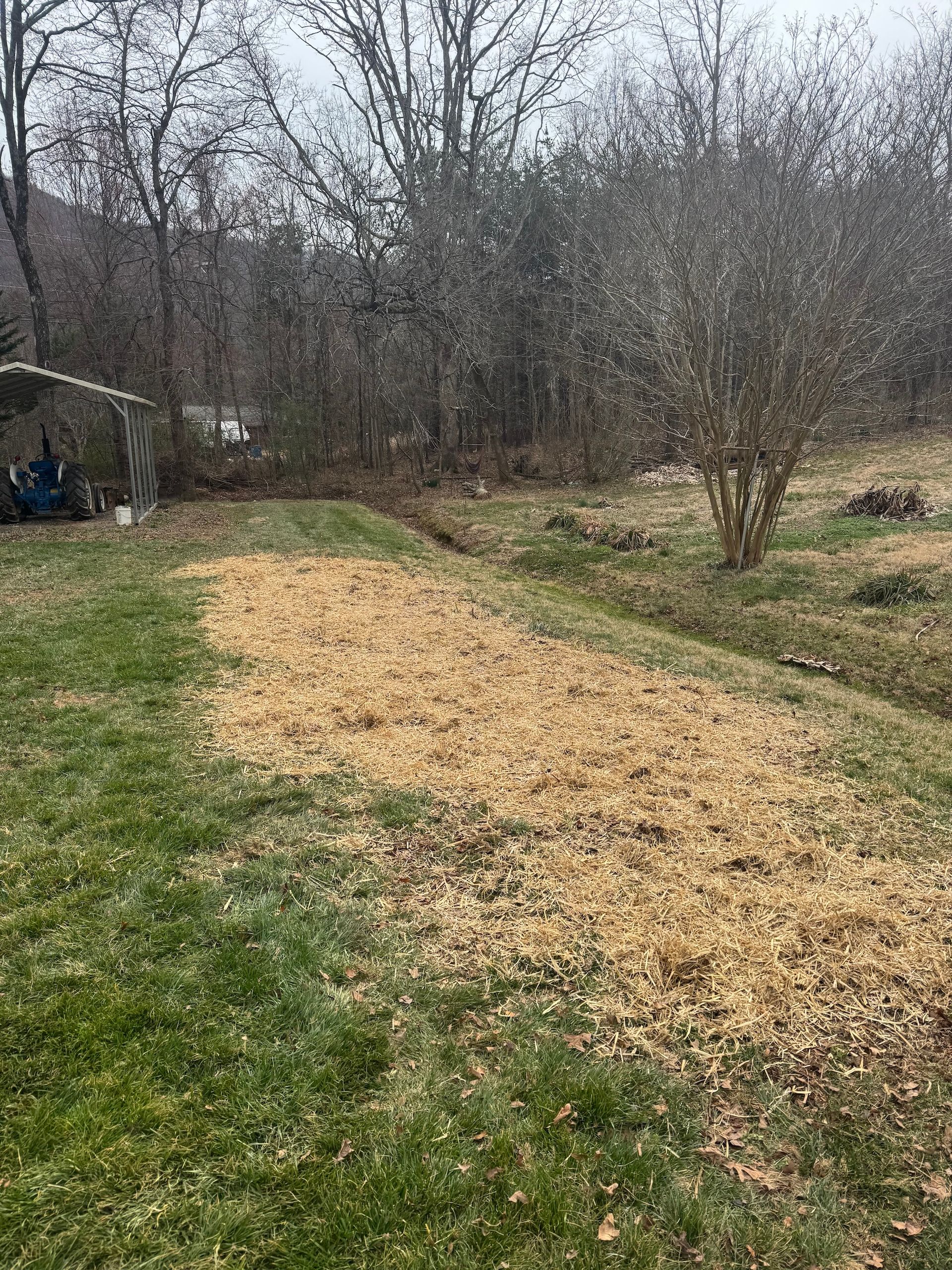 A patch of light-brown wood mulch laid over soil in a grass yard, with a wooded area in the background.