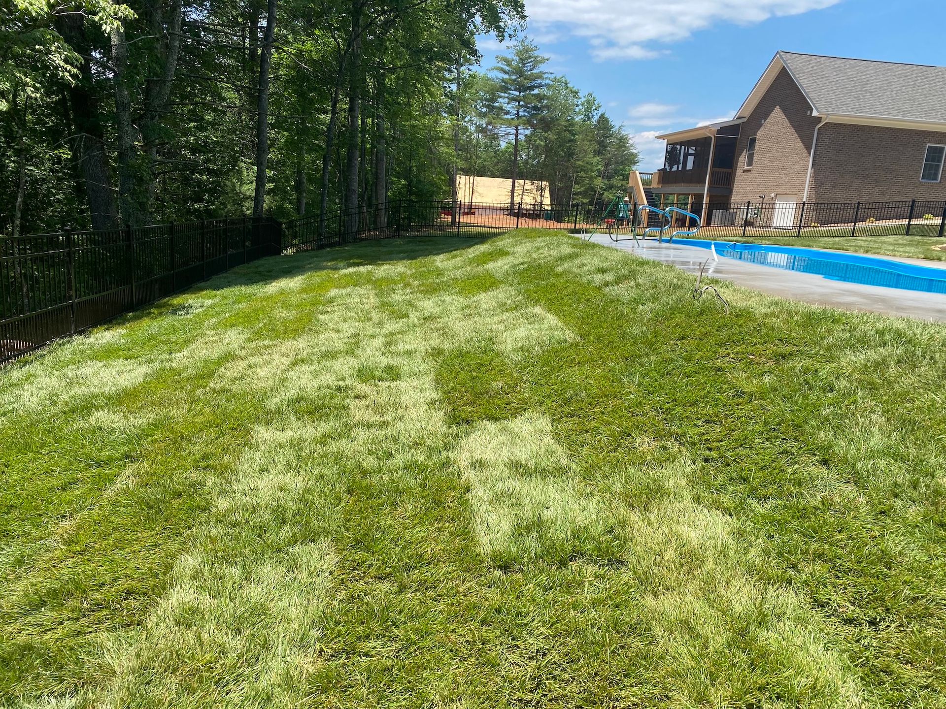 A freshly mown, sloped green lawn next to a backyard swimming pool and a brick house under a bright blue sky.