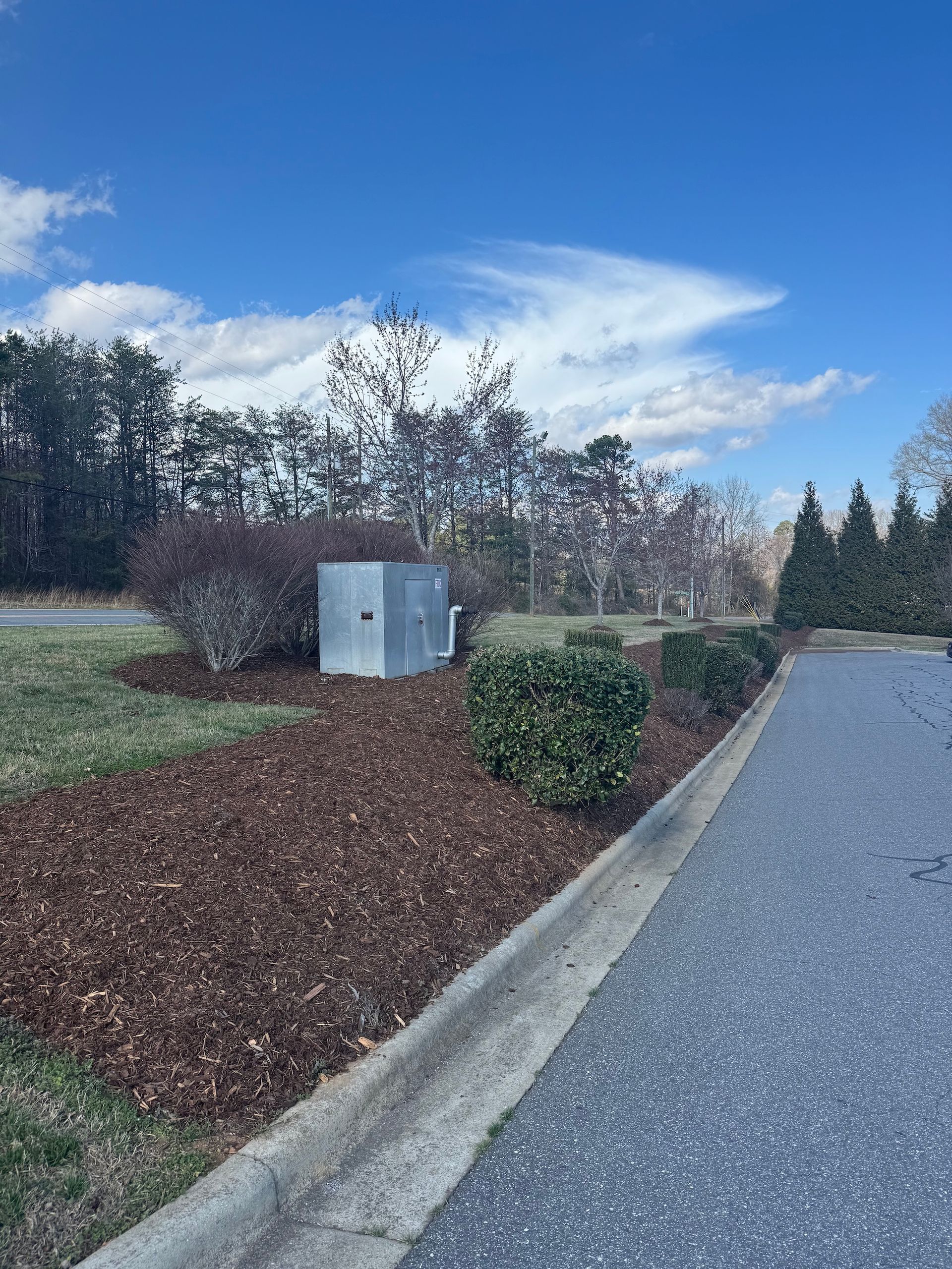 A metal utility box sits in a landscaped garden bed covered with brown mulch next to an asphalt road under a blue sky.