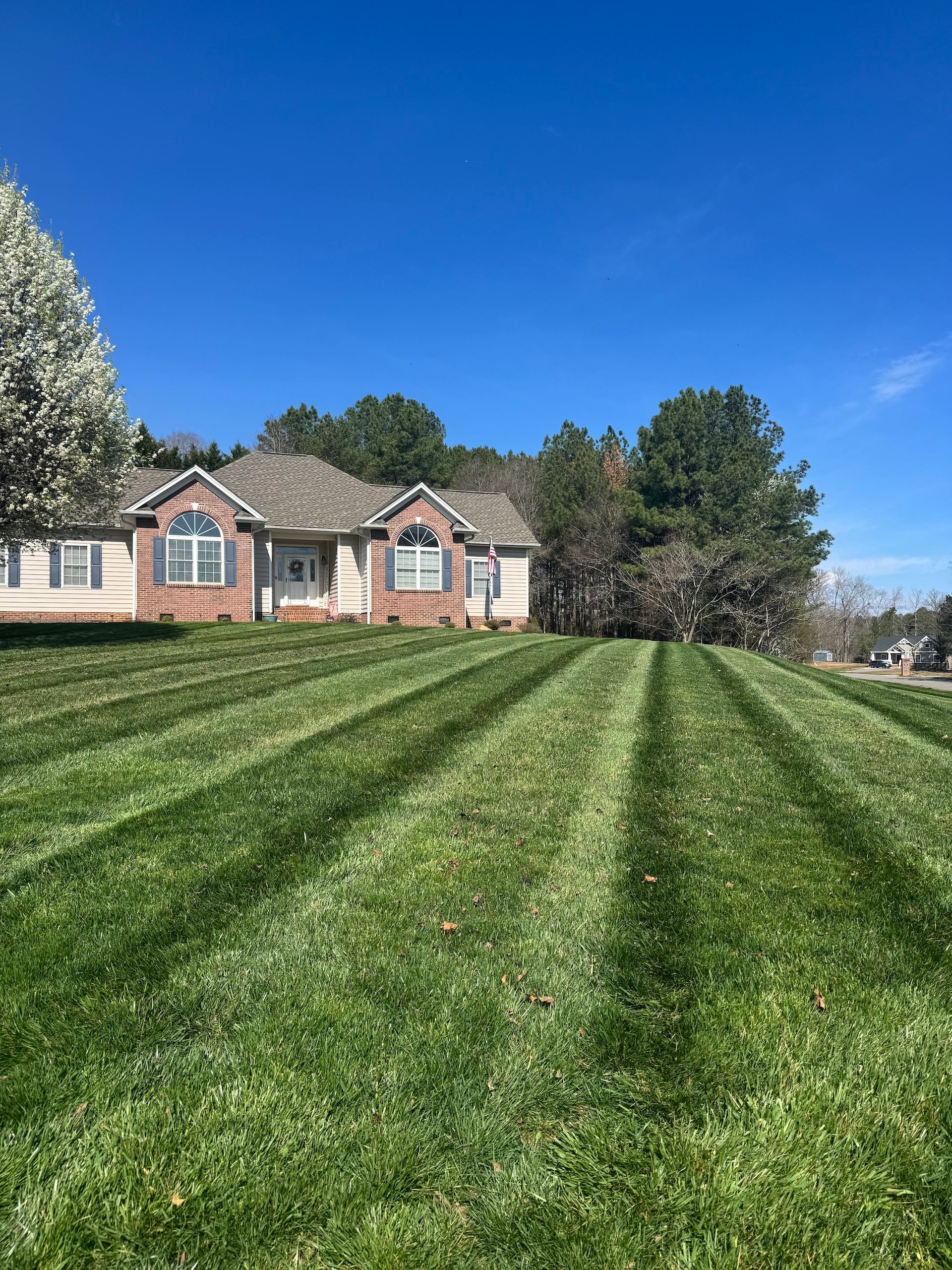 A suburban brick house with a neatly mown lawn featuring distinct grass stripes under a clear blue sky.