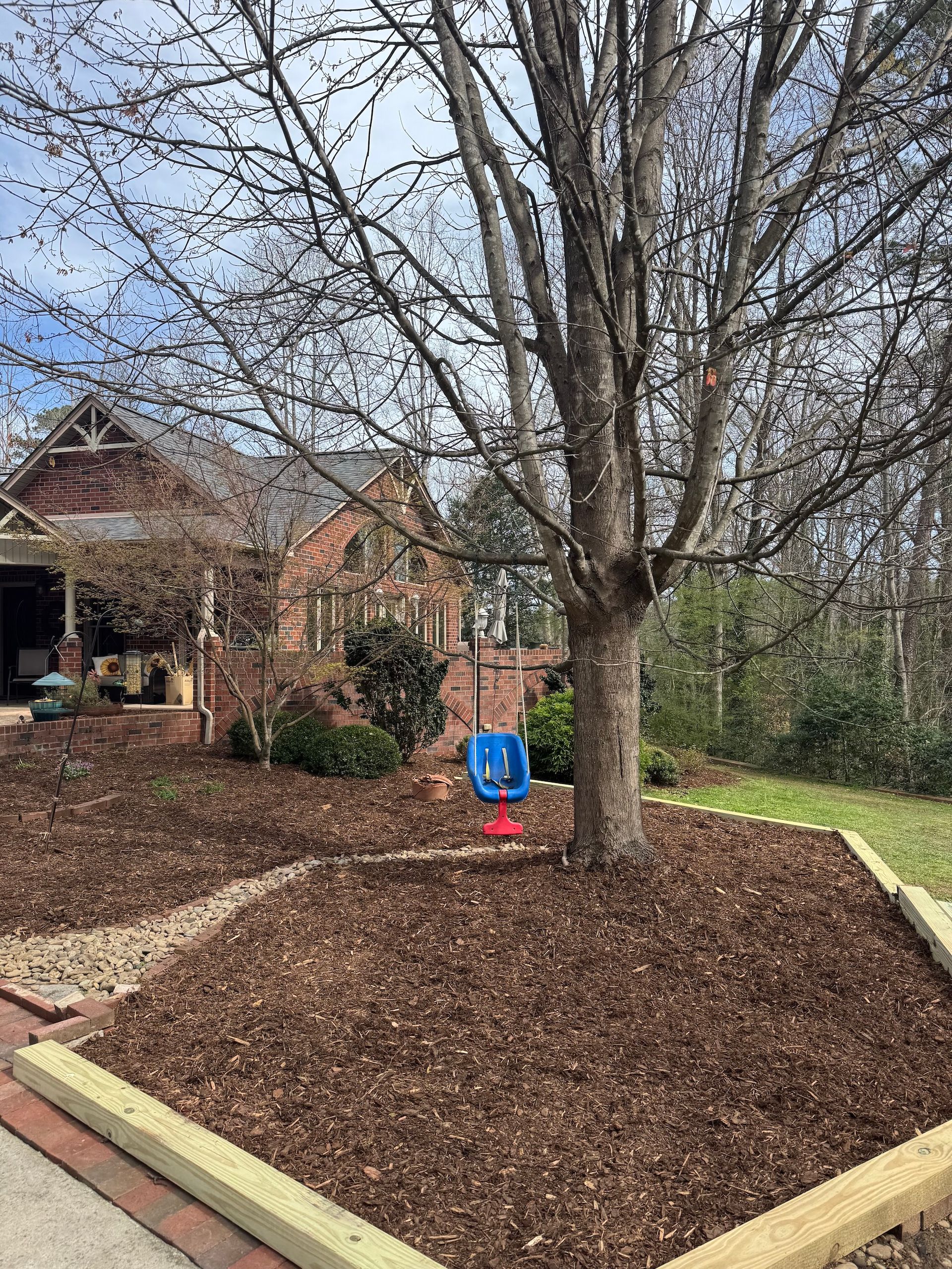 A bright blue chair sits beneath a large, bare tree in a raised garden bed filled with brown mulch, near a brick house.