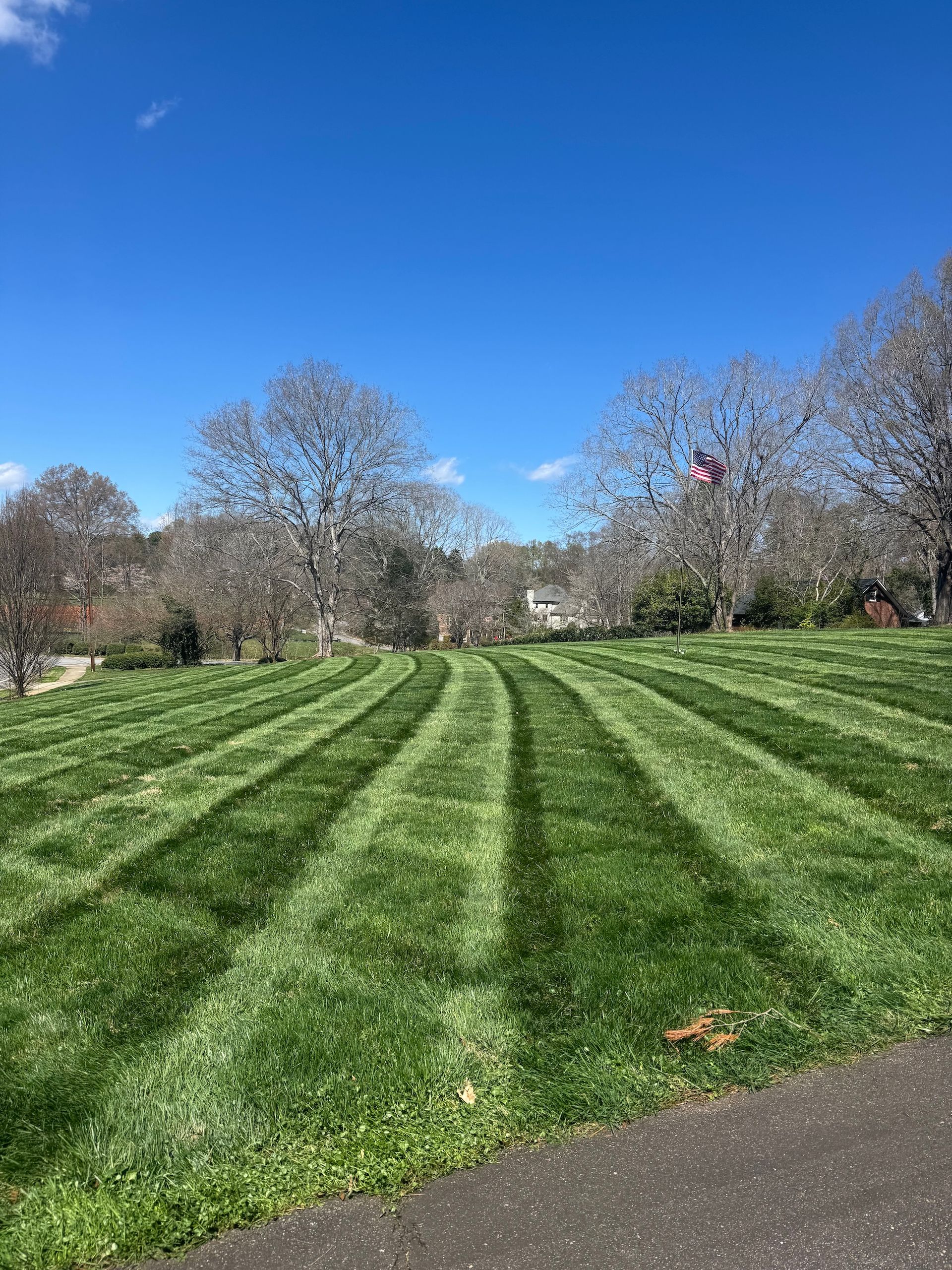 A grassy hill featuring neatly mowed, alternating light and dark stripes, under a clear blue sky with bare trees.