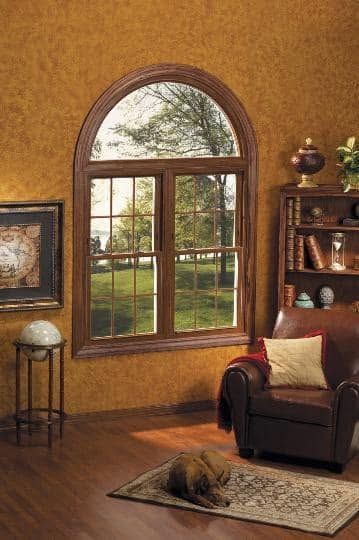Cozy living room with arched window, leather chair, bookshelf, and a dog lying on a rug. Cozy living room with arched window, leather chair, bookshelf, and a dog lying on a rug.