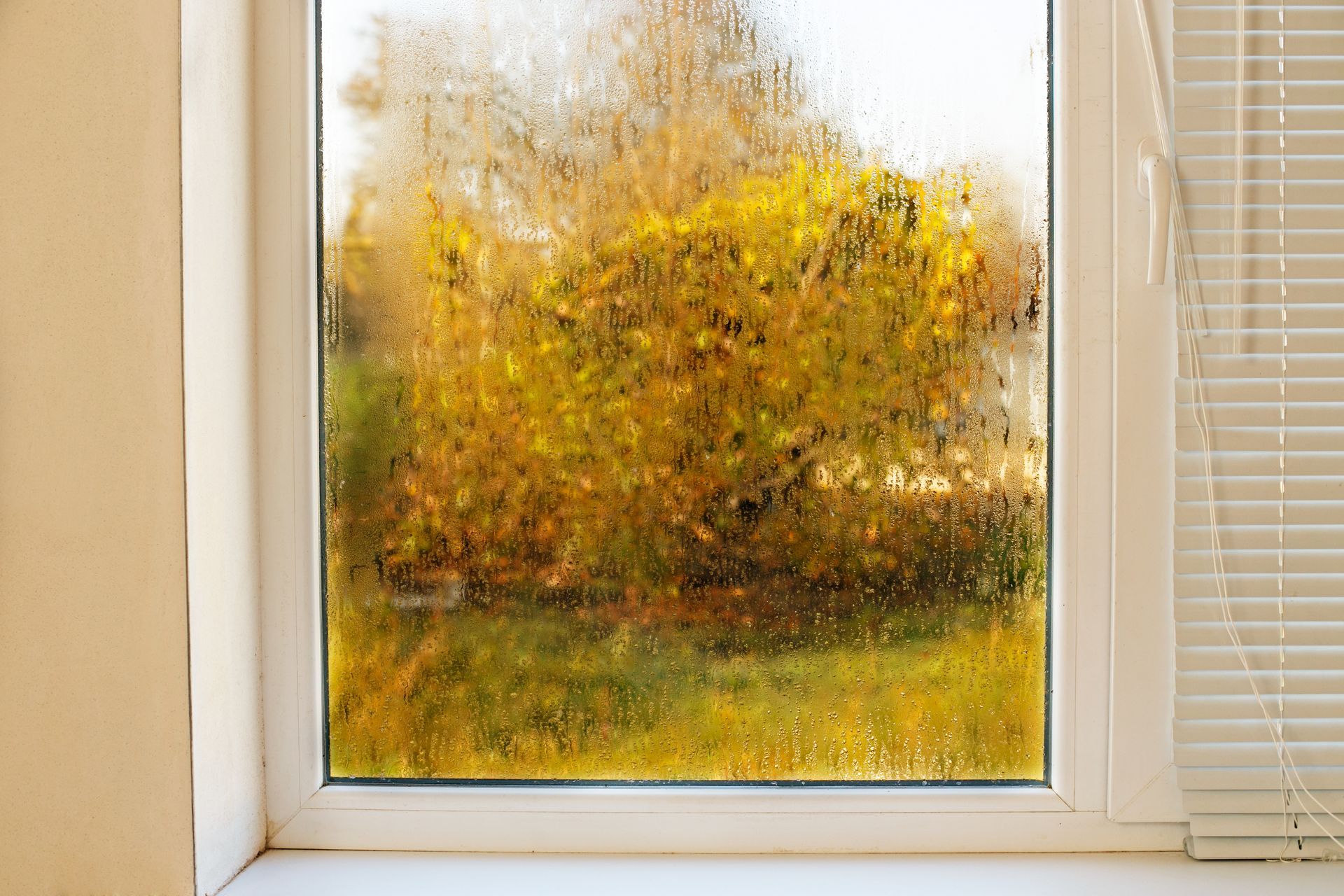 Rainy window with blurred autumn trees and yellow foliage outside, framed by white blinds.