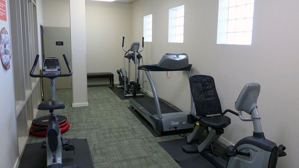 Small gym with treadmills, stationary bikes, and an elliptical on green carpet by windows.