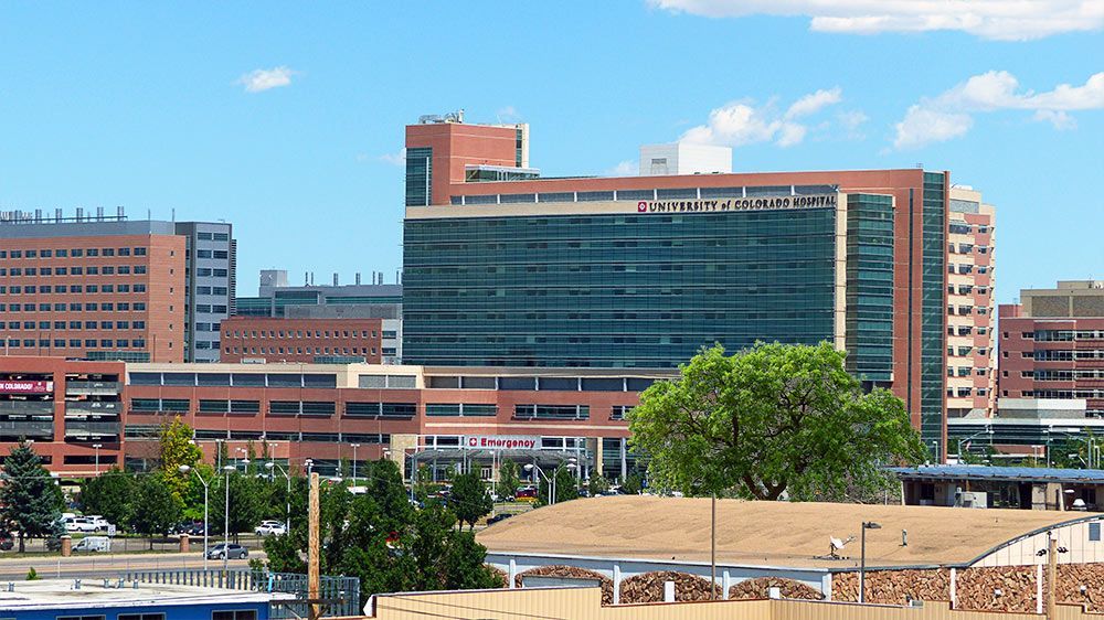 City skyline with a large red-brick hospital building and surrounding mid-rise buildings under a clear blue sky
