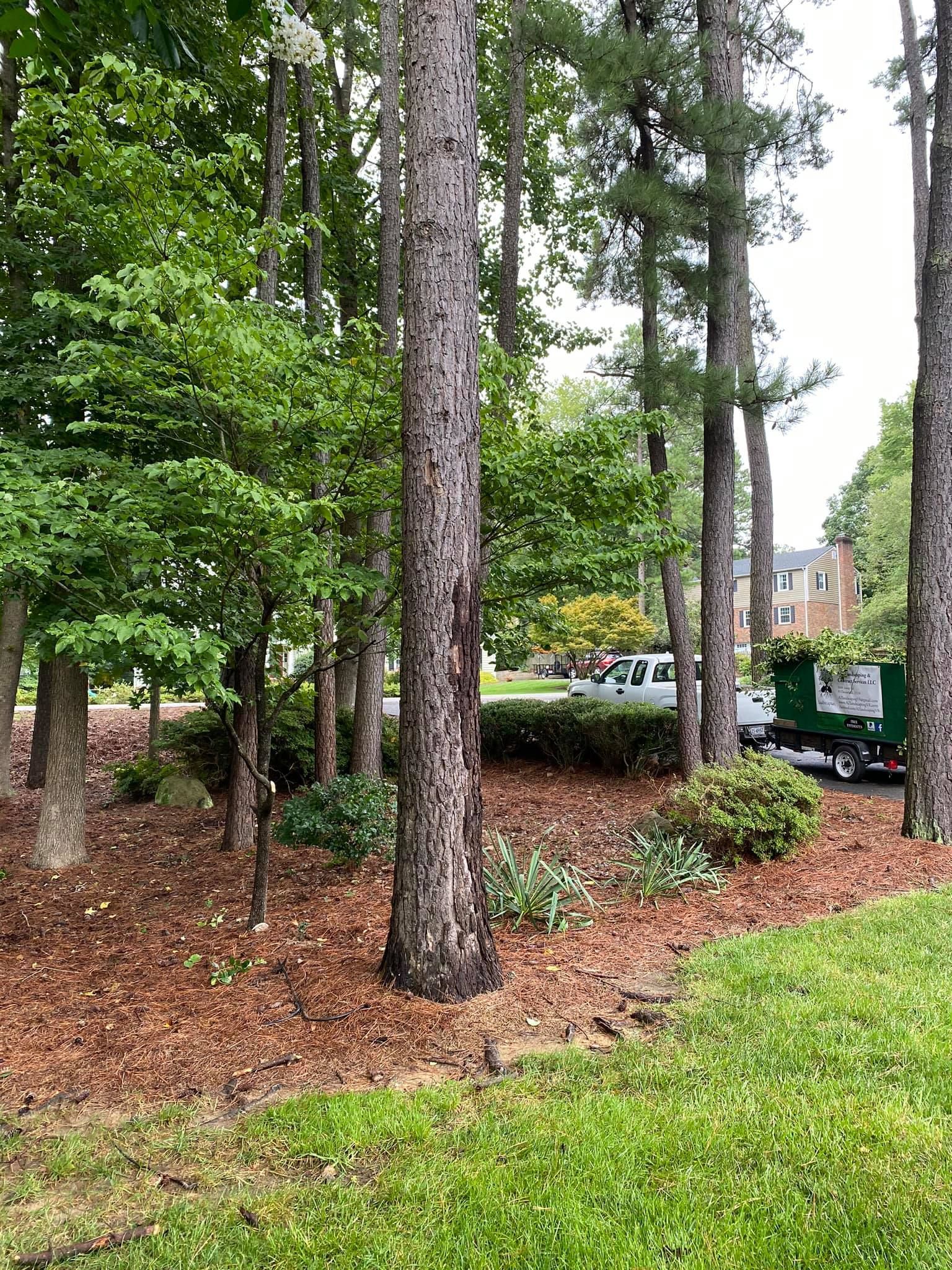 A truck is parked in the middle of a forest.