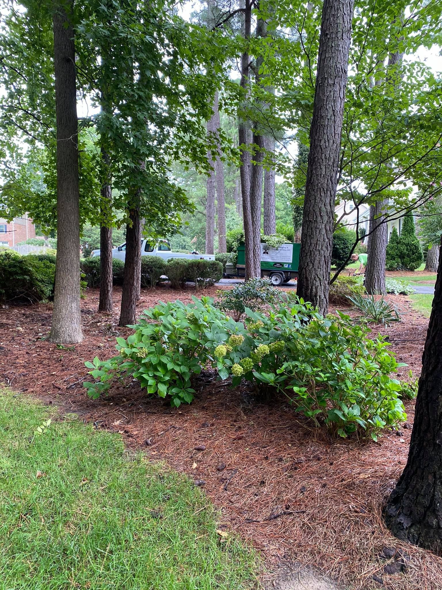 A green truck is parked in the middle of a forest.