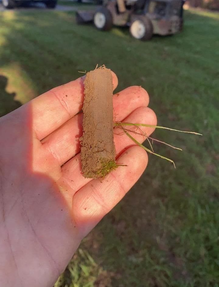 A person is holding a piece of dirt and grass in their hand.