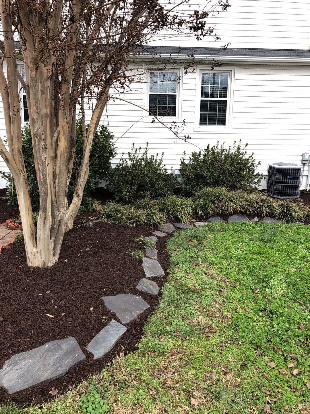 A stone walkway leading to a house with a tree in the background.