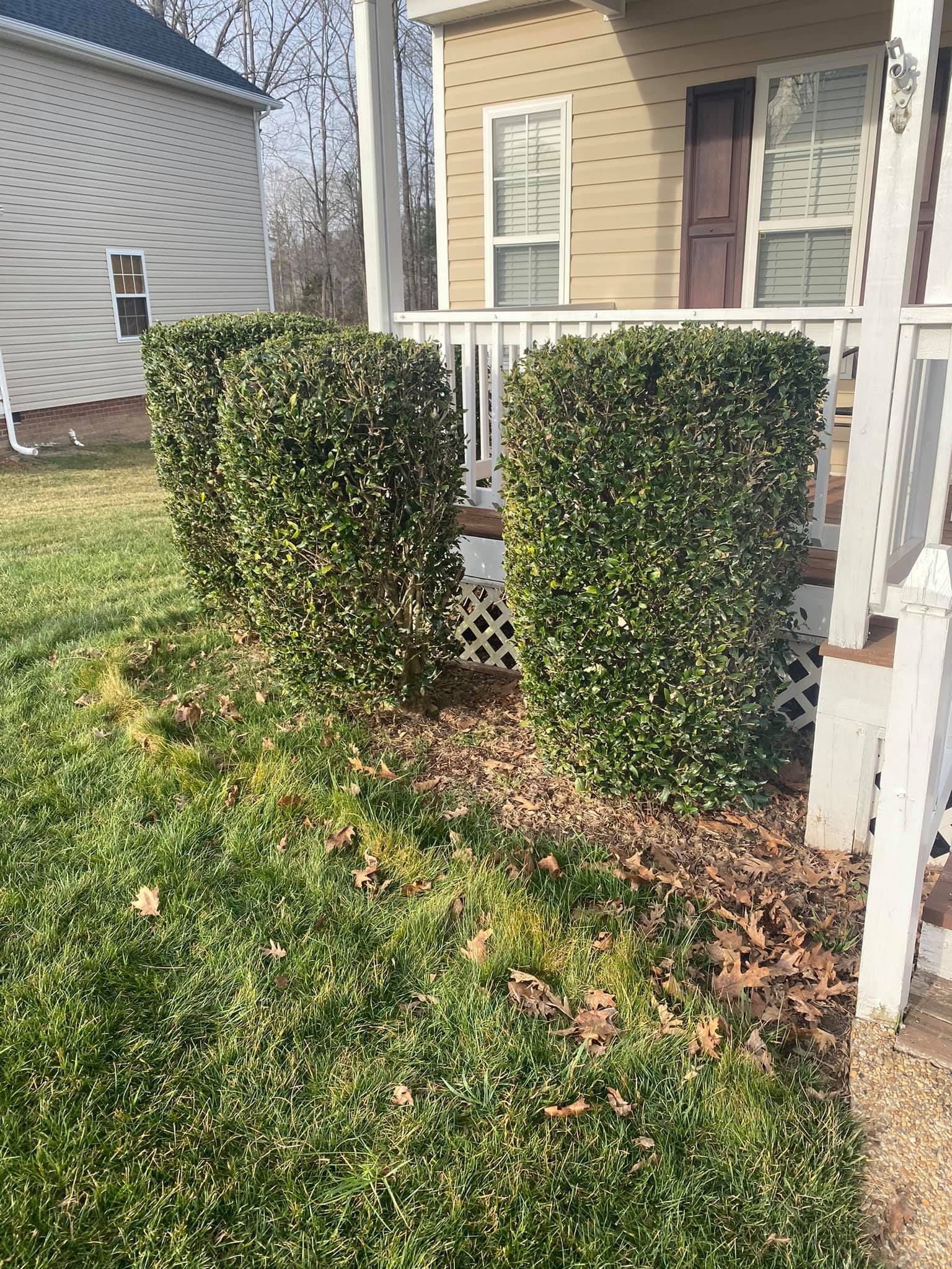 A house with a porch and bushes in front of it.