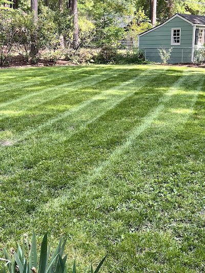 A lush green lawn with a green house in the background.
