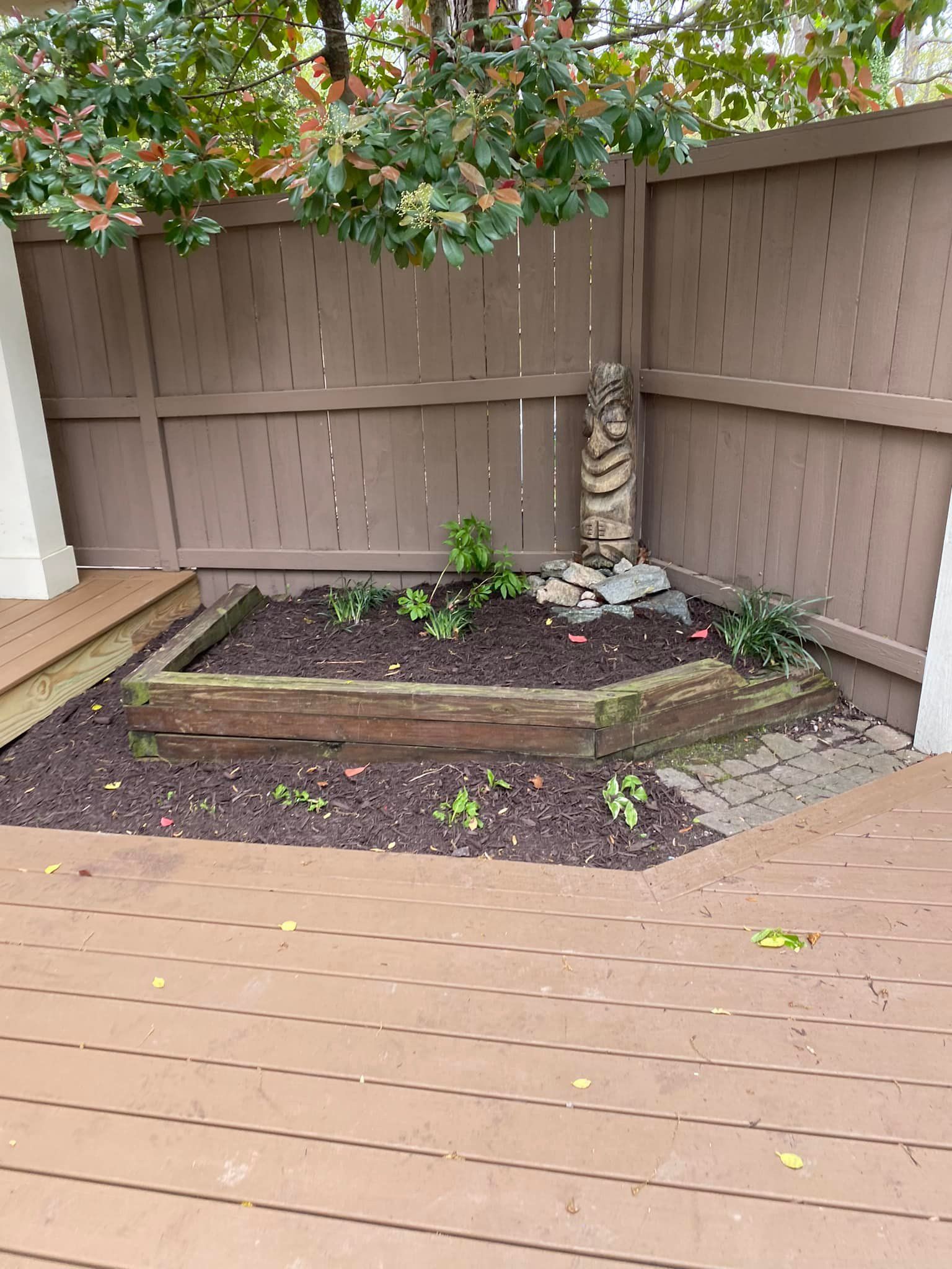 A small garden in the corner of a deck next to a wooden fence.