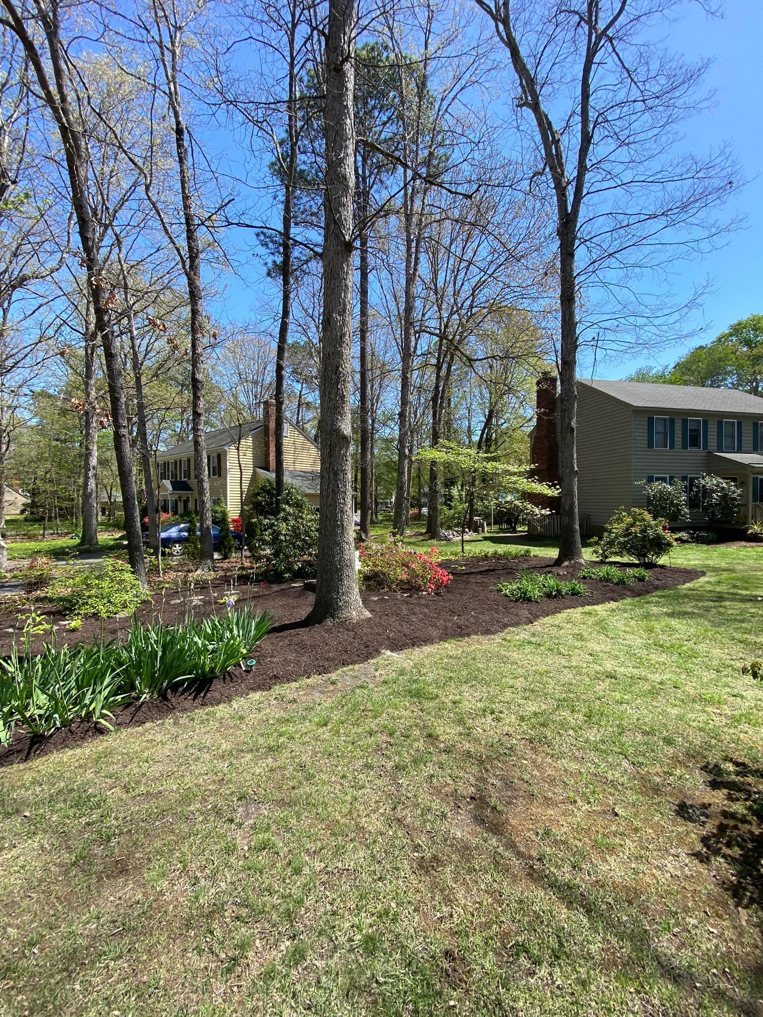 A lush green yard with trees and a house in the background.
