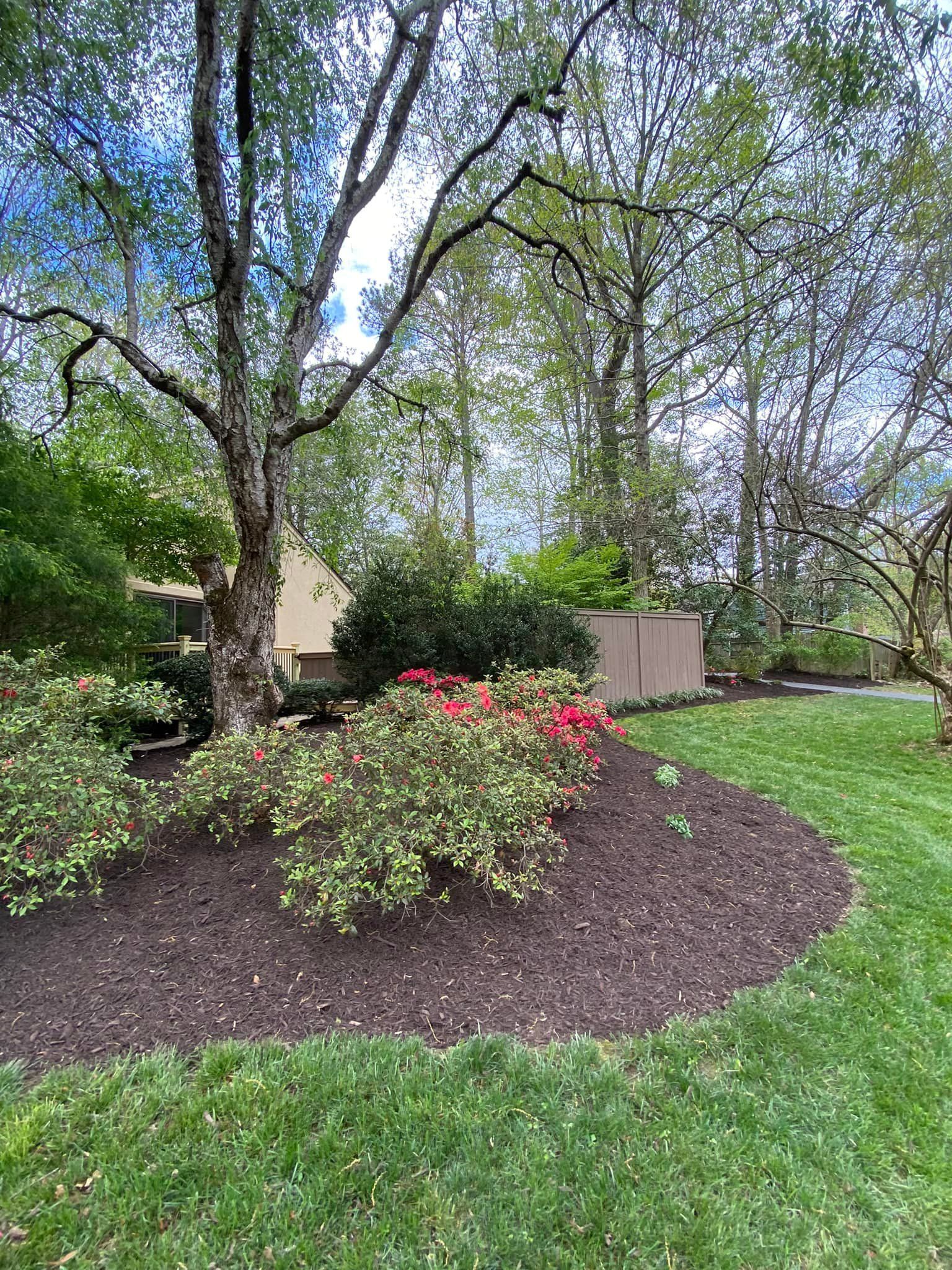 A lush green lawn with trees and bushes in front of a house.