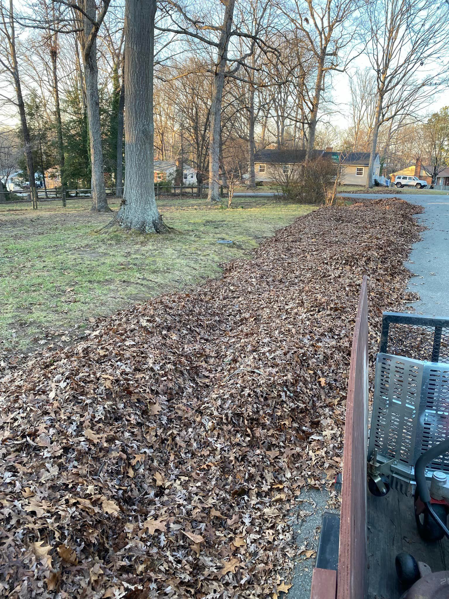 A person is pushing a shopping cart down a path covered in leaves.